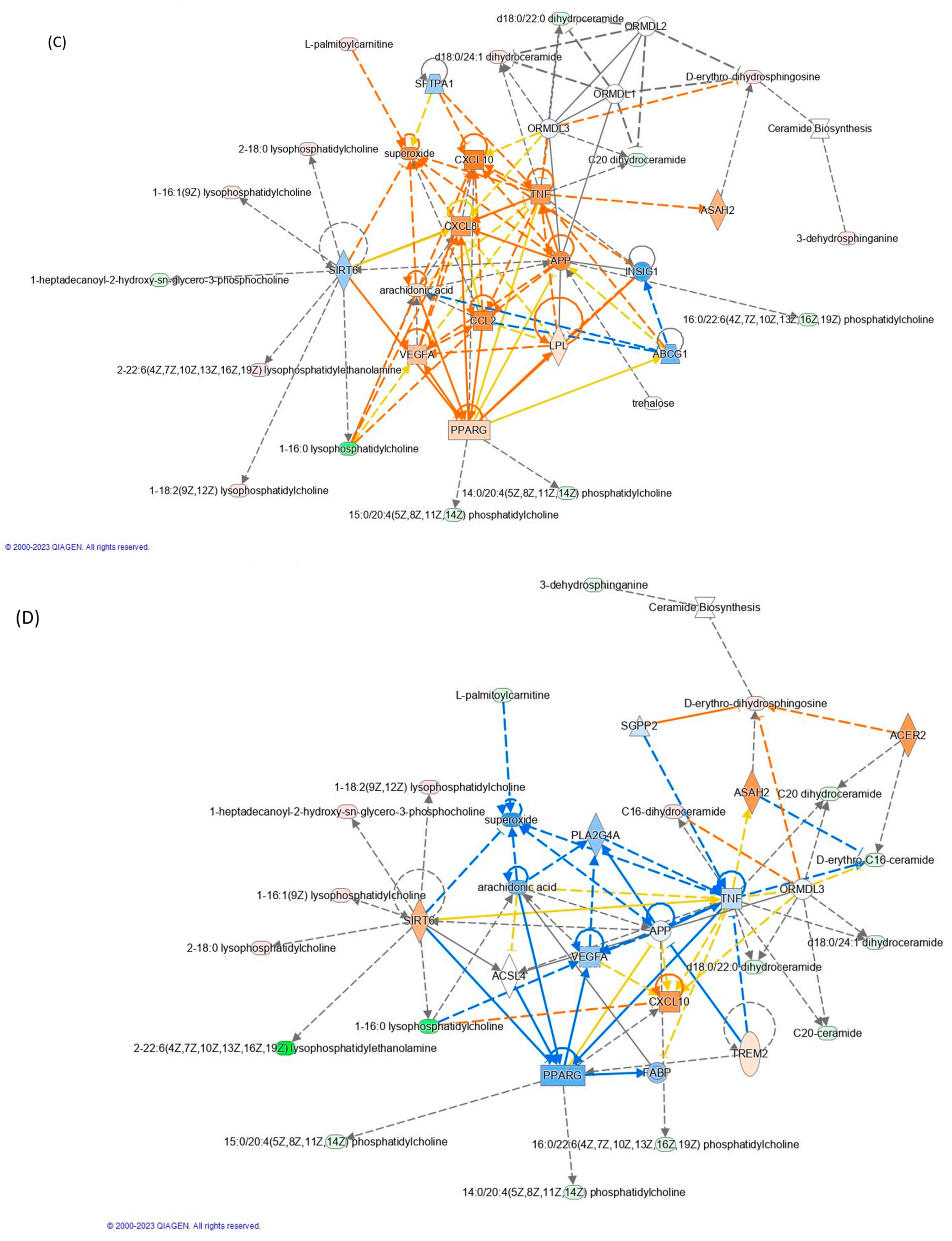 Cosmetics 11 00140 g004b
