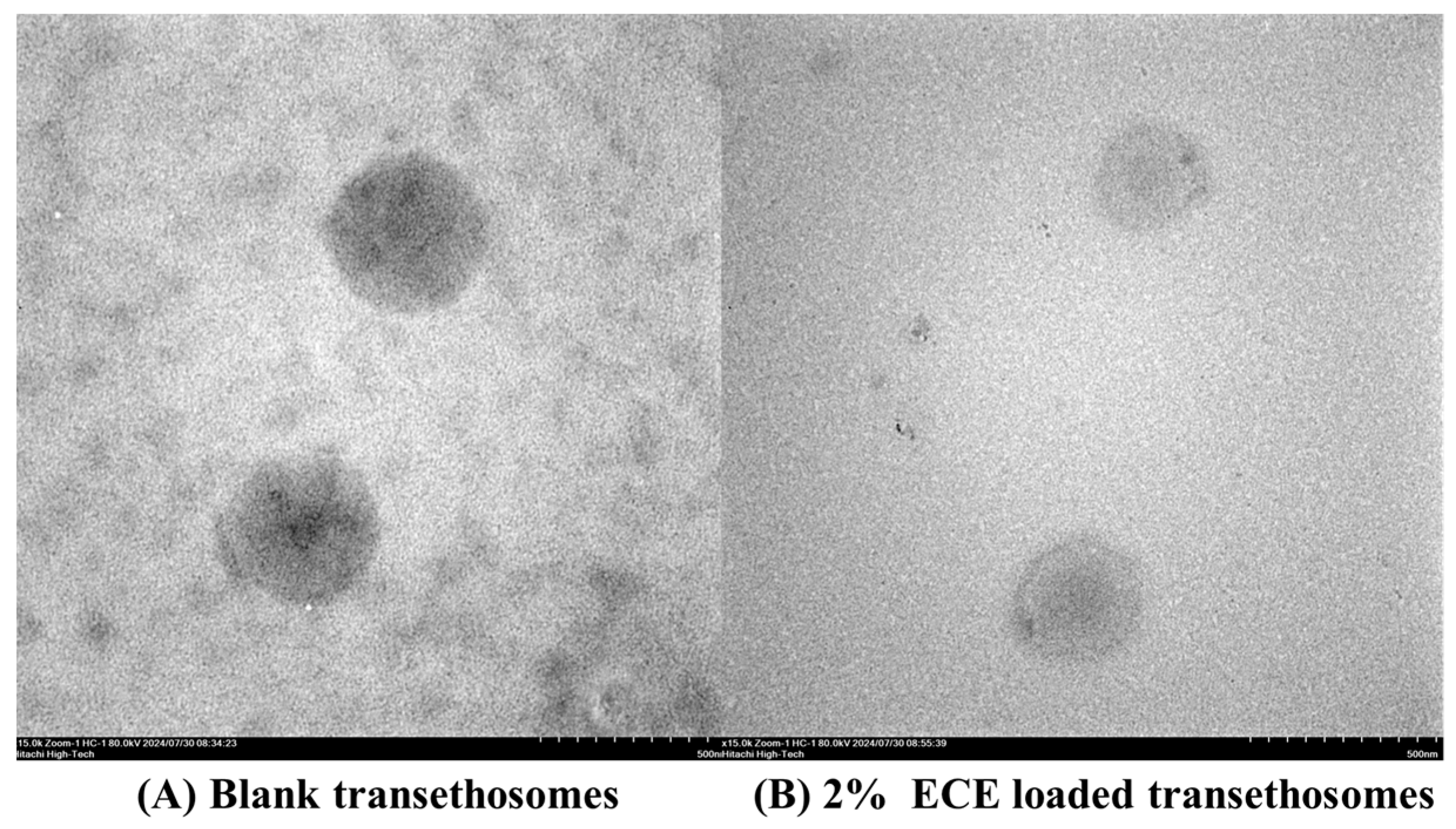 Cosmetics 11 00199 g004