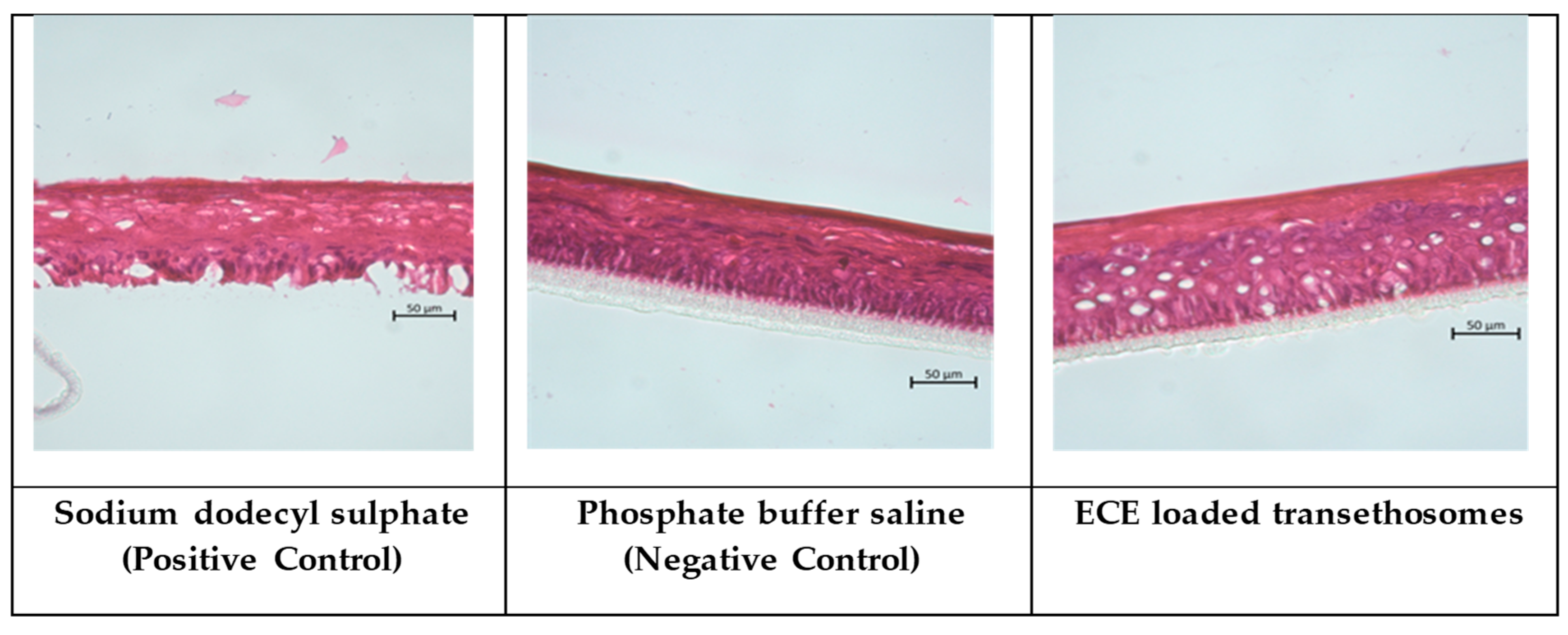 Cosmetics 11 00199 g007