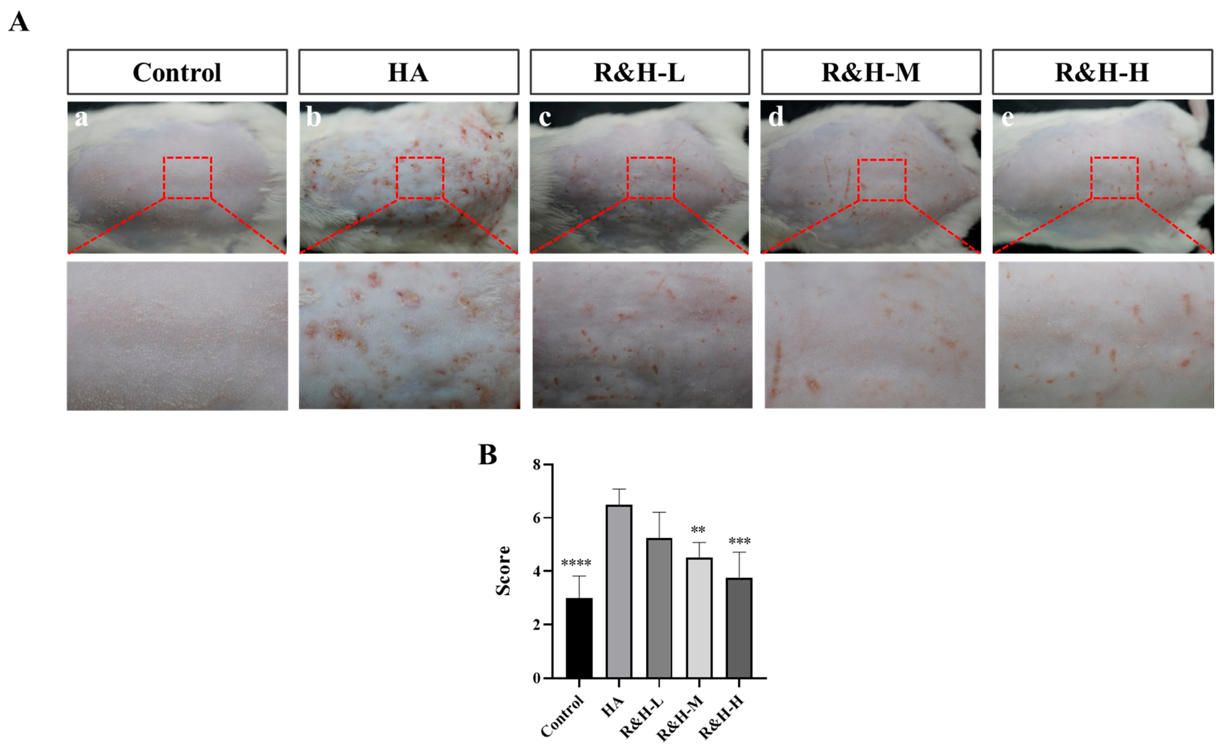 Cosmetics 11 00203 g001