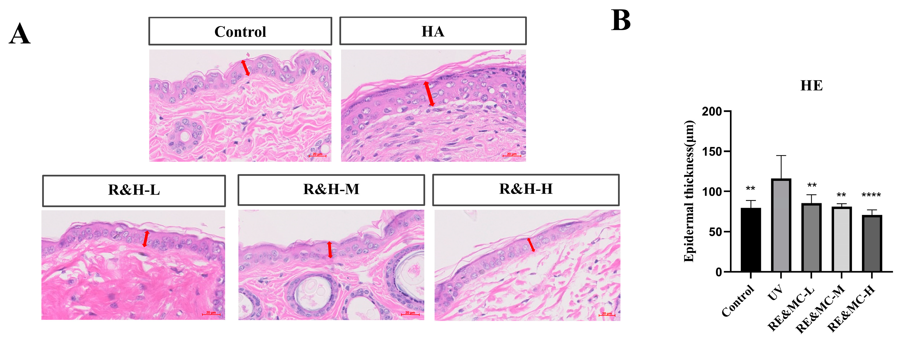 Cosmetics 11 00203 g002