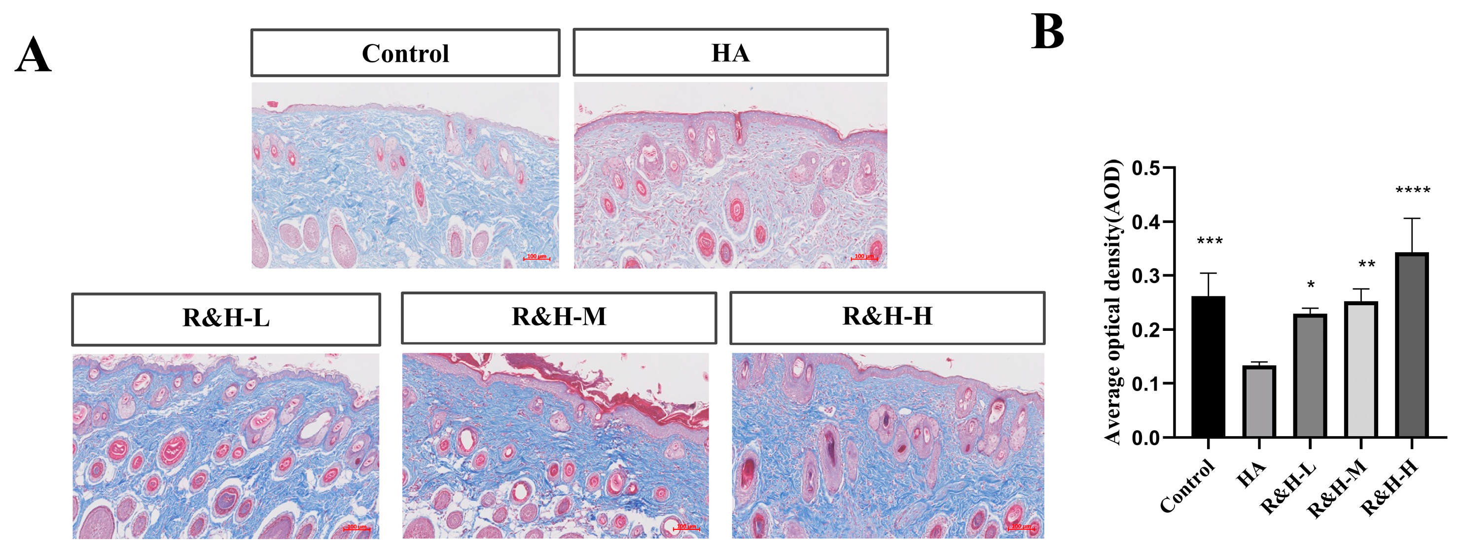 Cosmetics 11 00203 g003