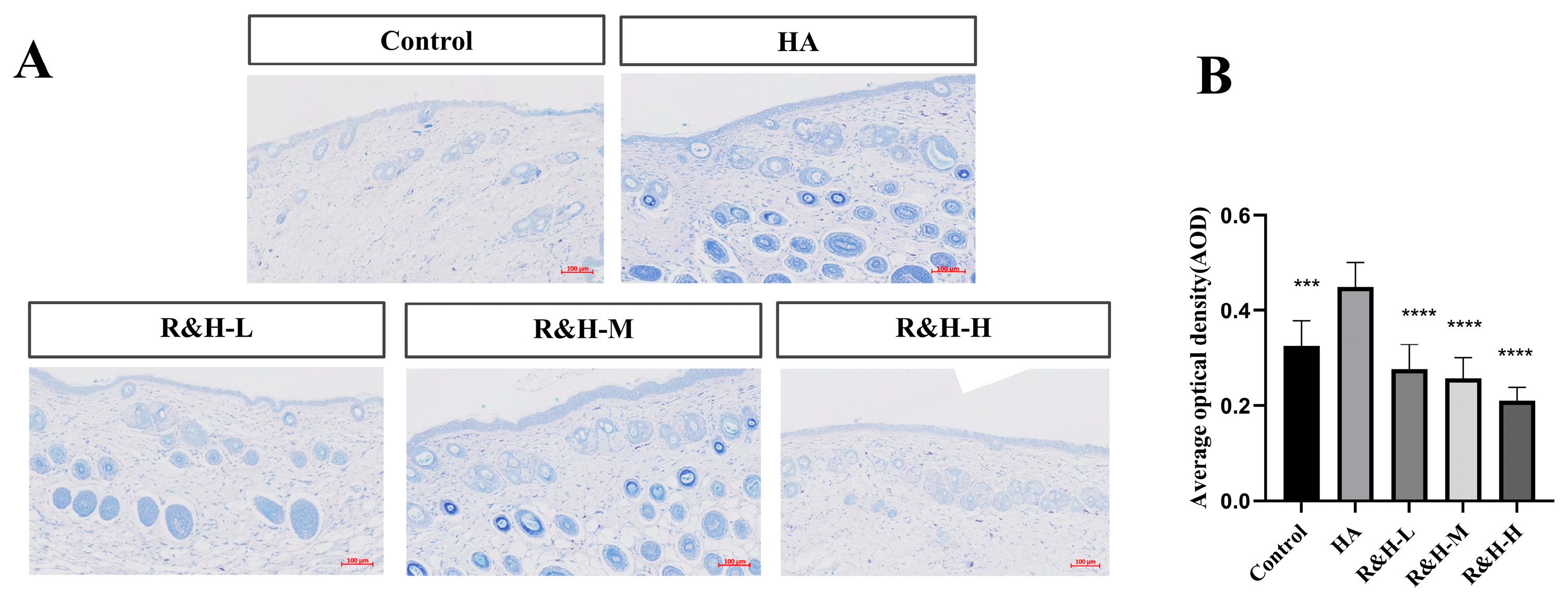 Cosmetics 11 00203 g004