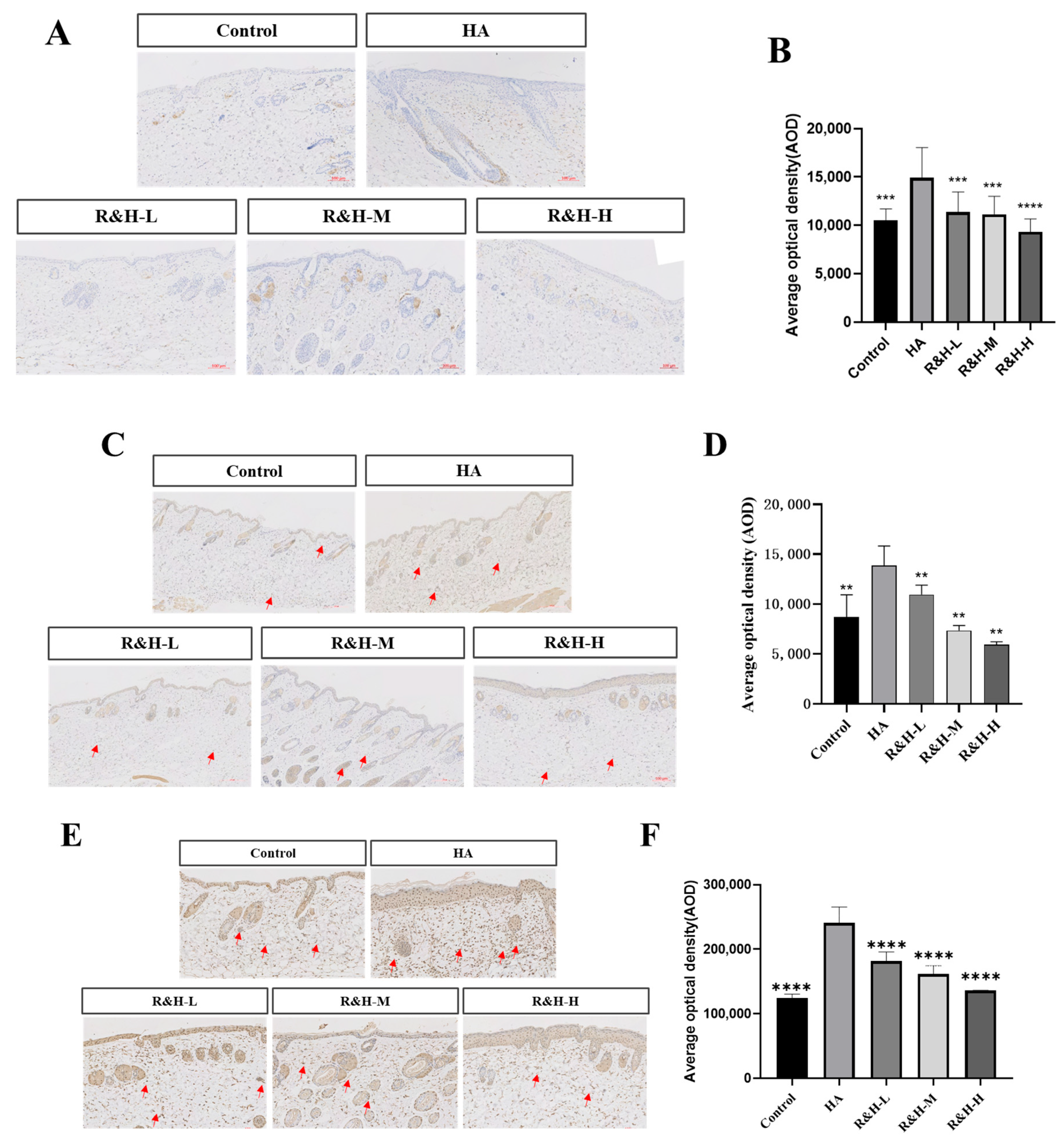Cosmetics 11 00203 g005