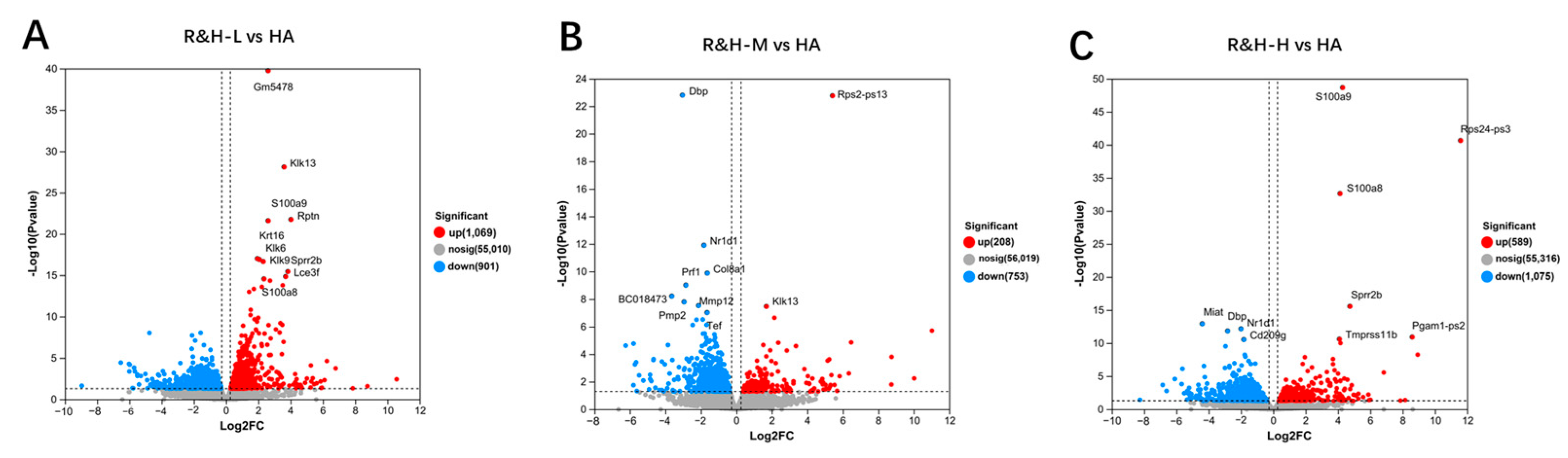 Cosmetics 11 00203 g007
