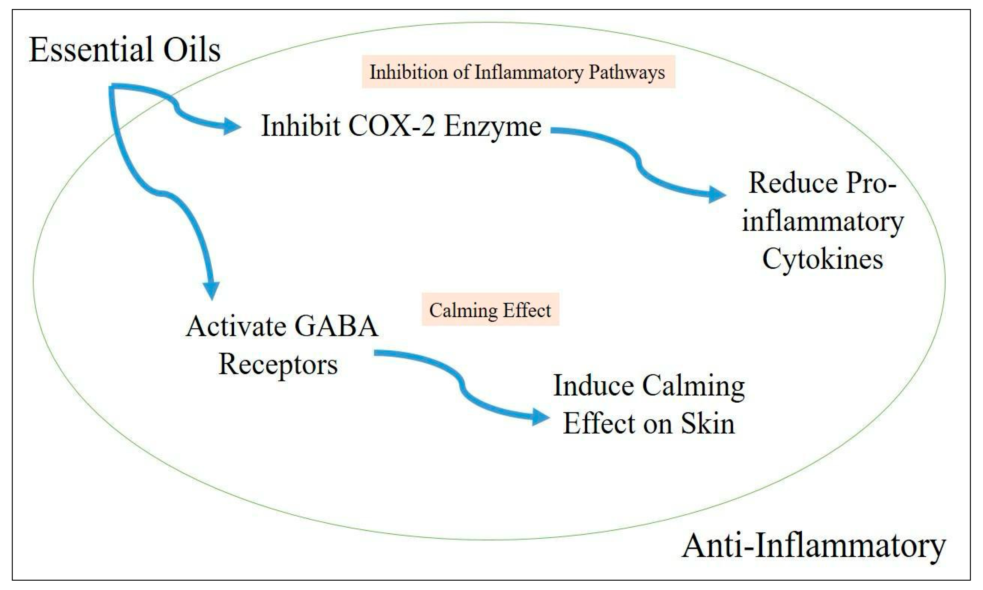Cosmetics 11 00210 g003