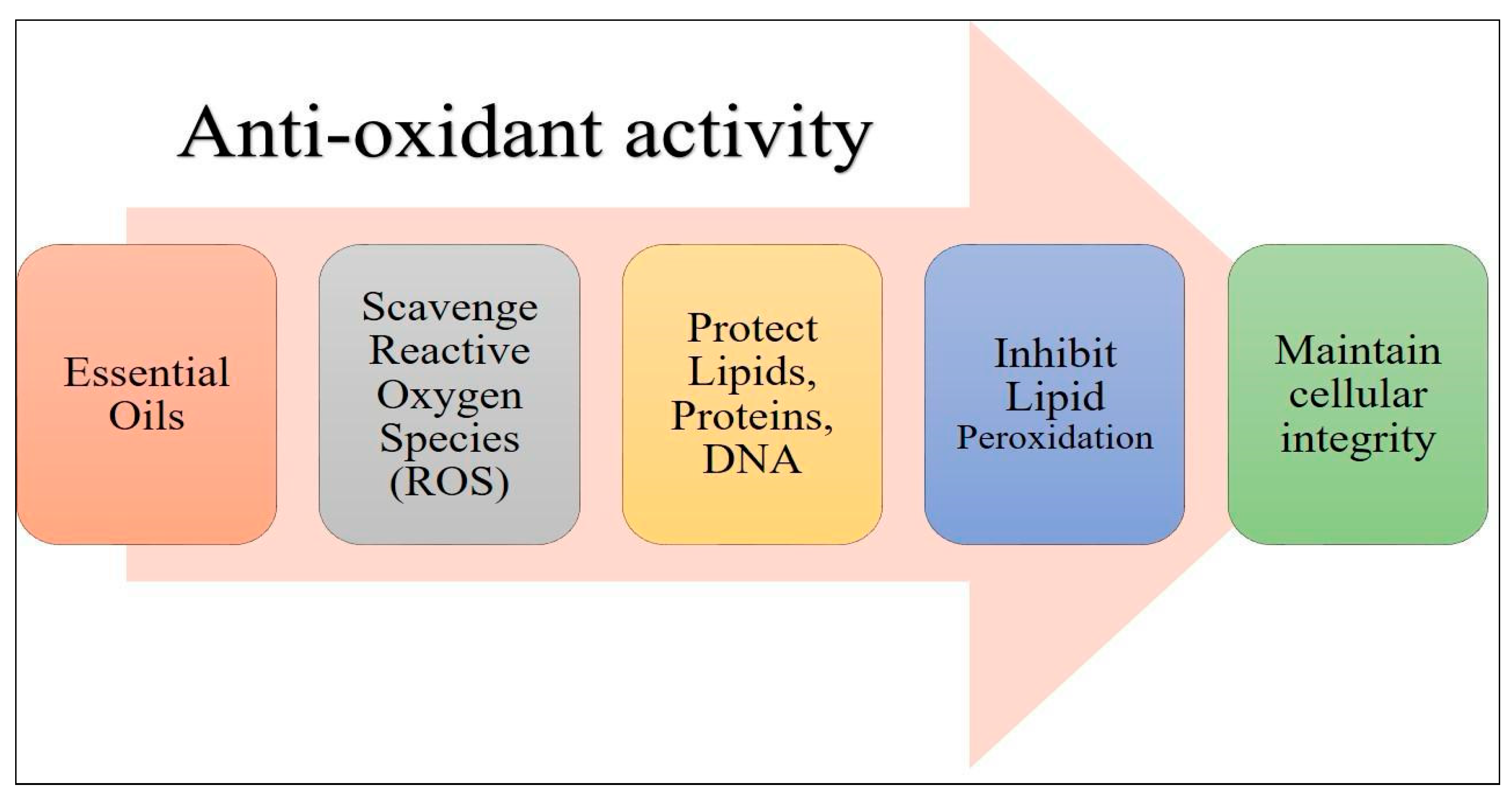 Cosmetics 11 00210 g007
