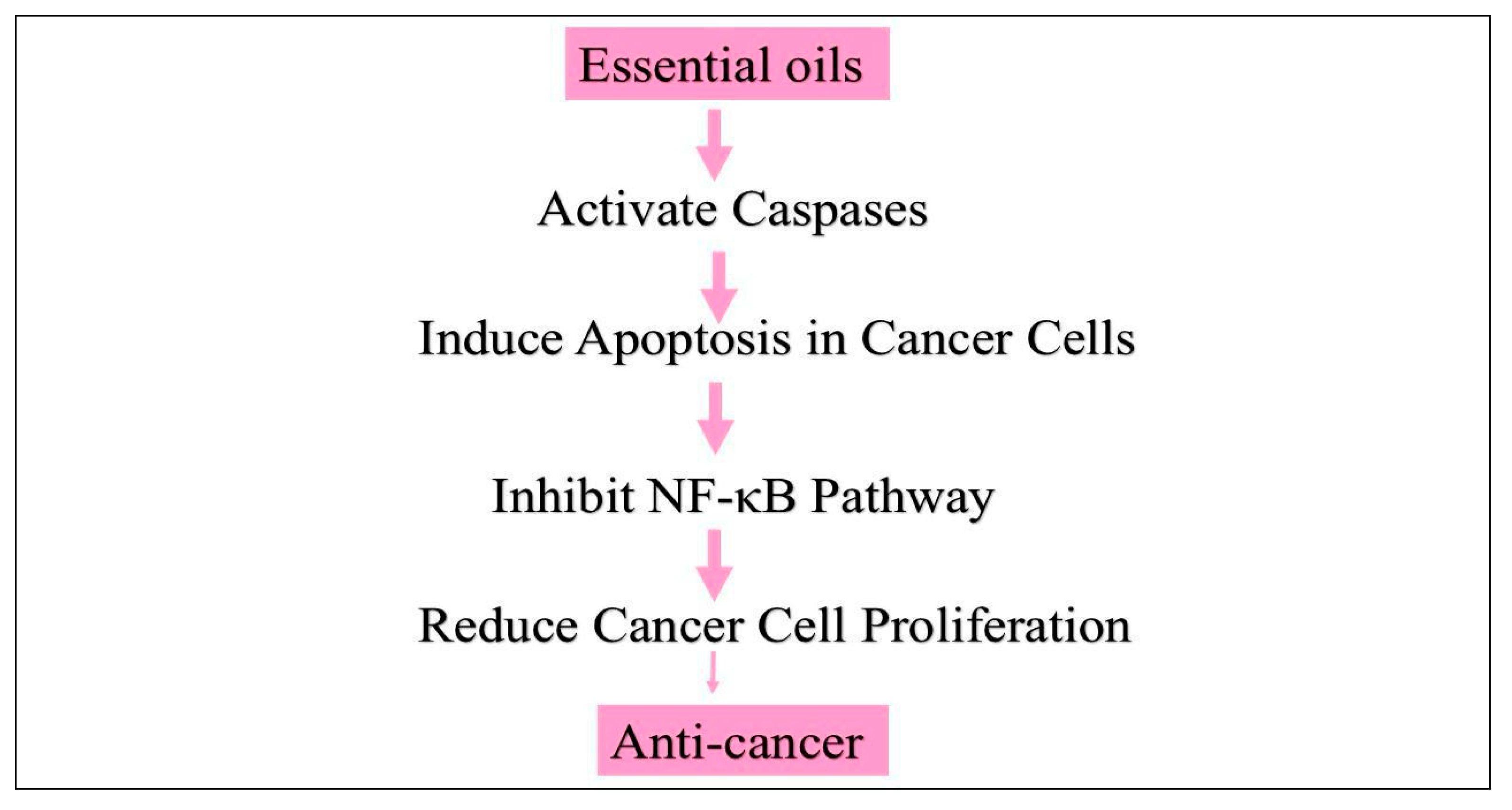 Cosmetics 11 00210 g008