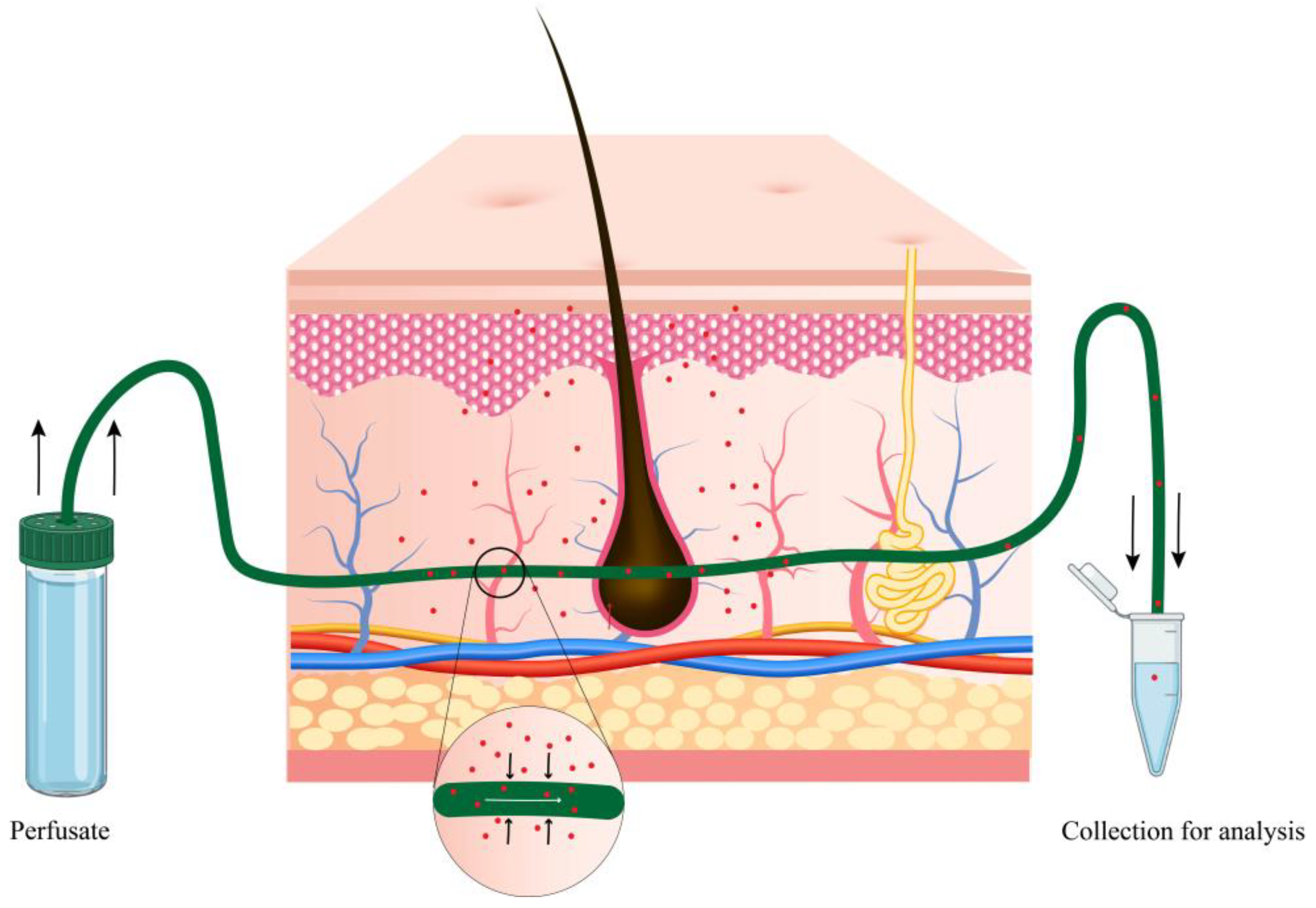 Cosmetics 11 00217 g002