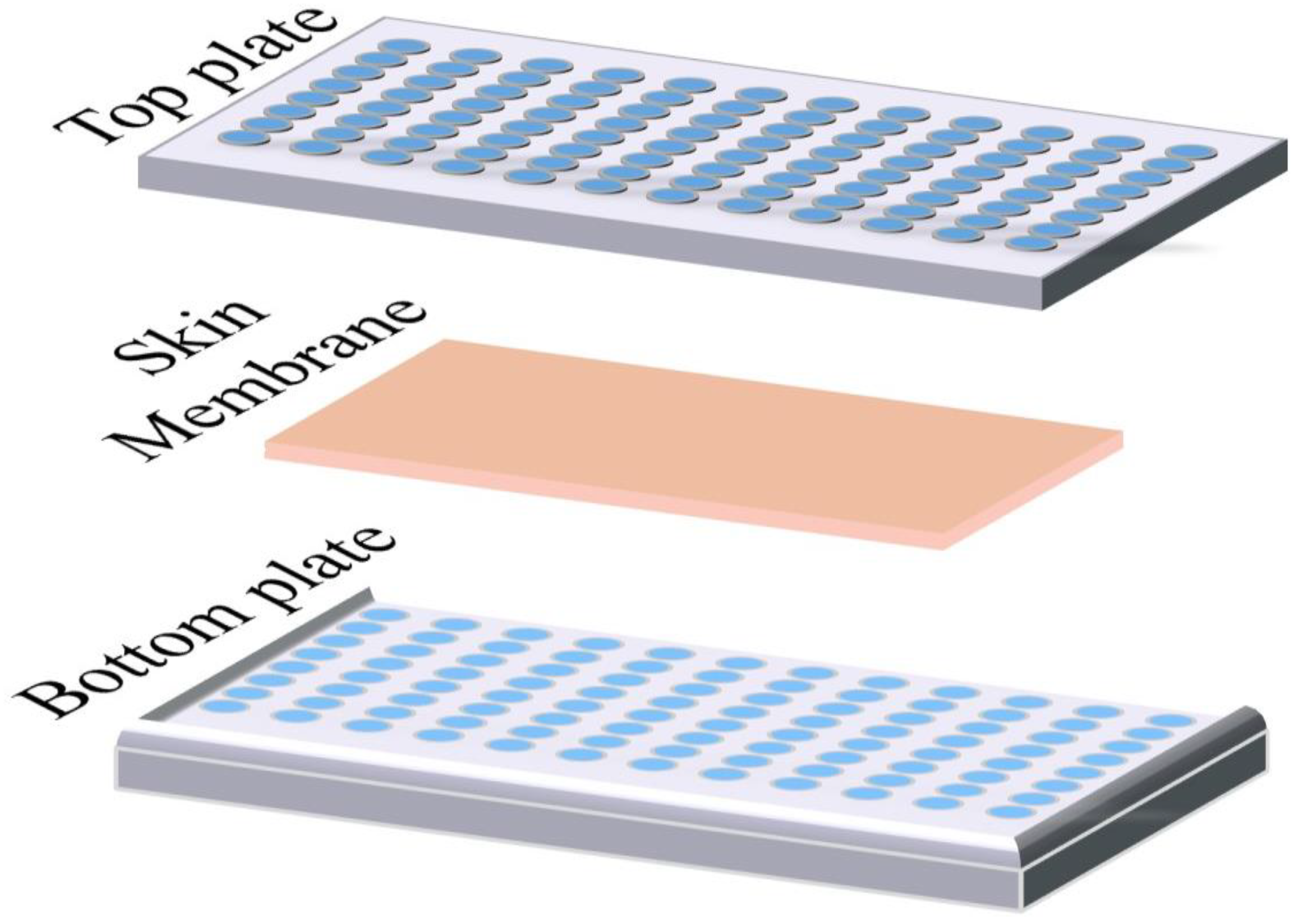 Cosmetics 11 00217 g004