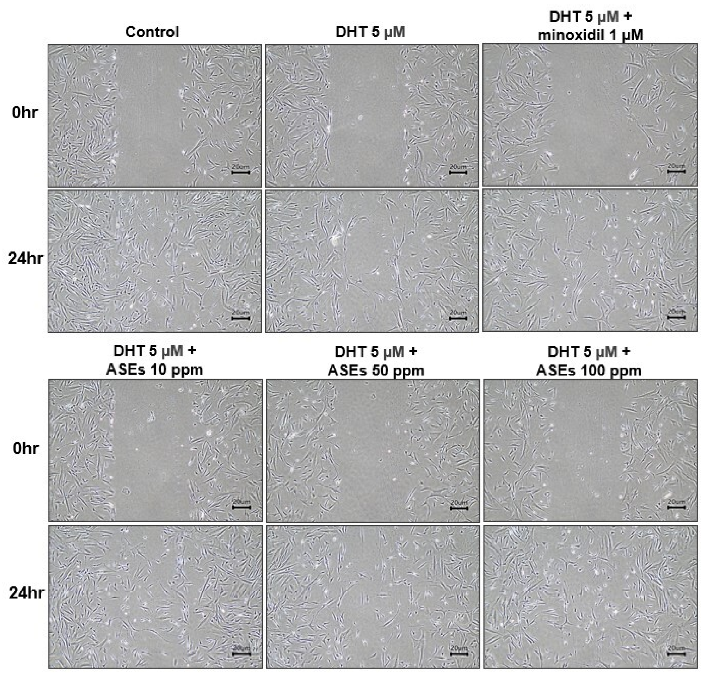 Cosmetics 12 00006 g002