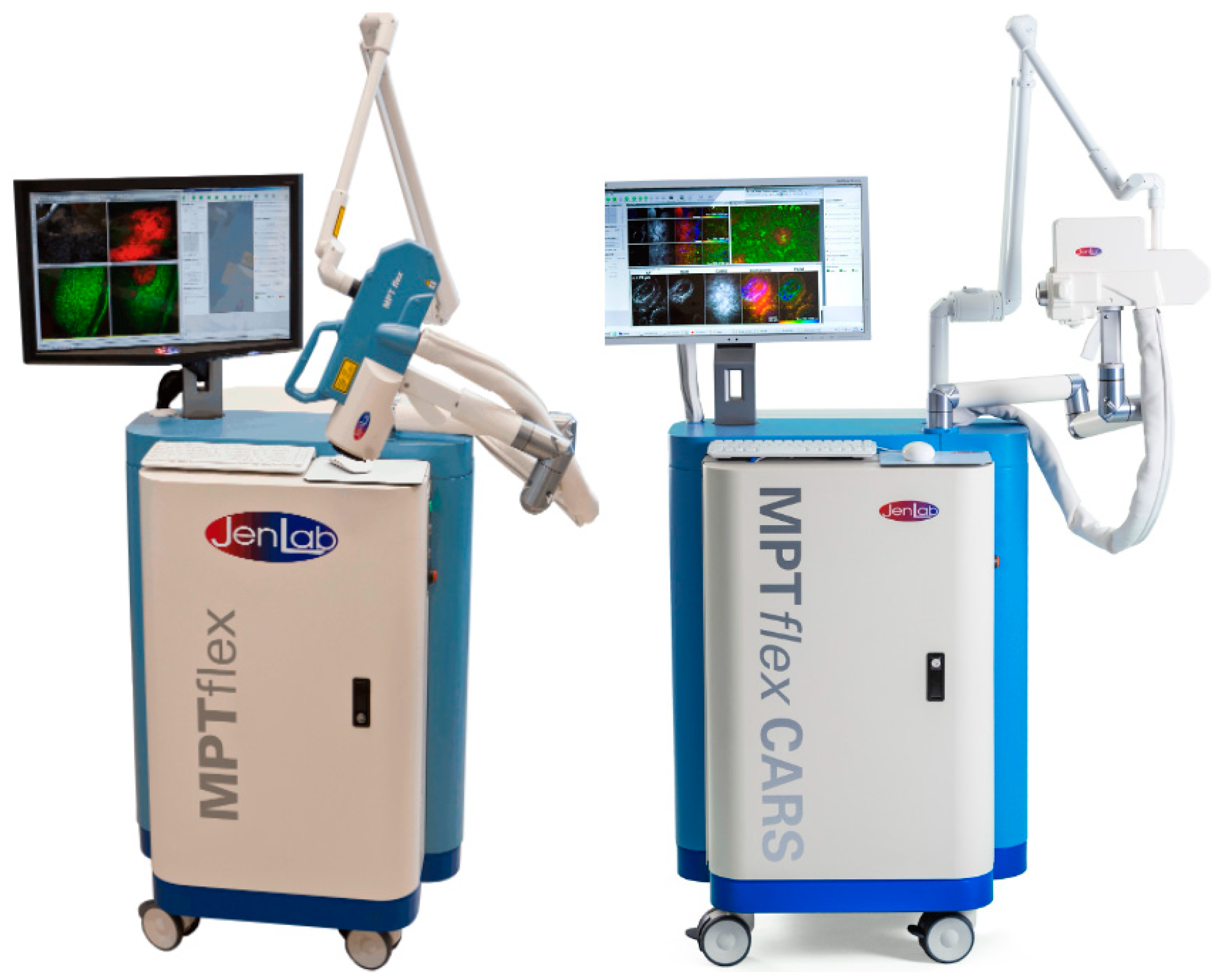 Cosmetics 12 00044 g005