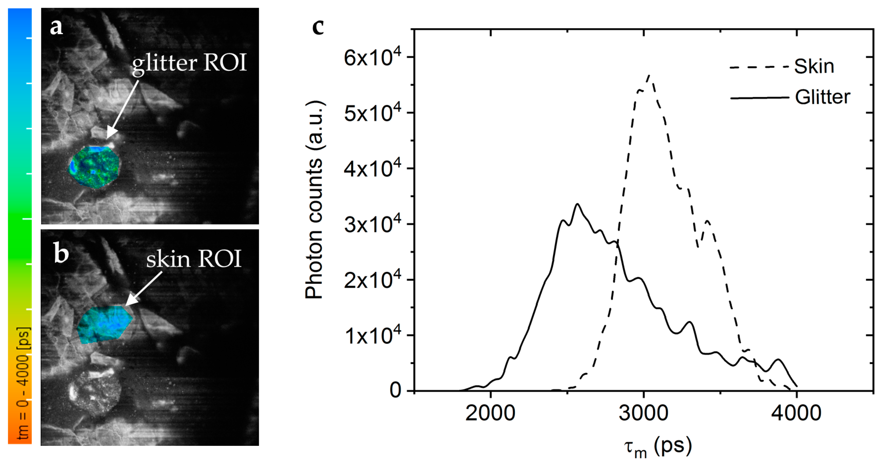 Cosmetics 12 00044 g012