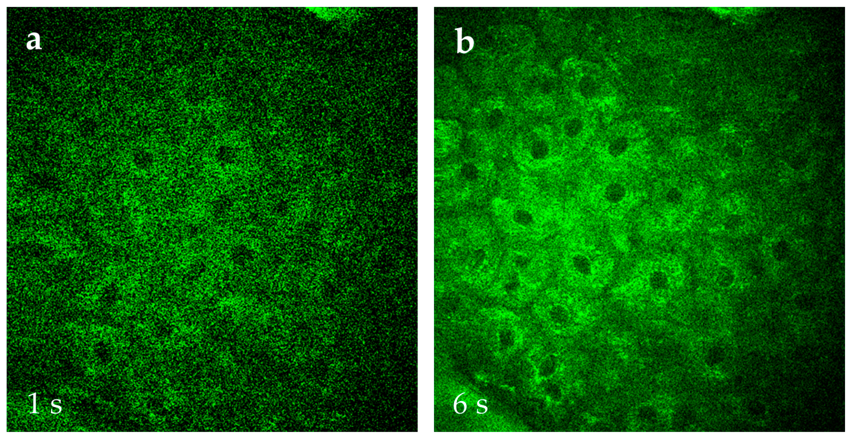 Cosmetics 12 00044 g014