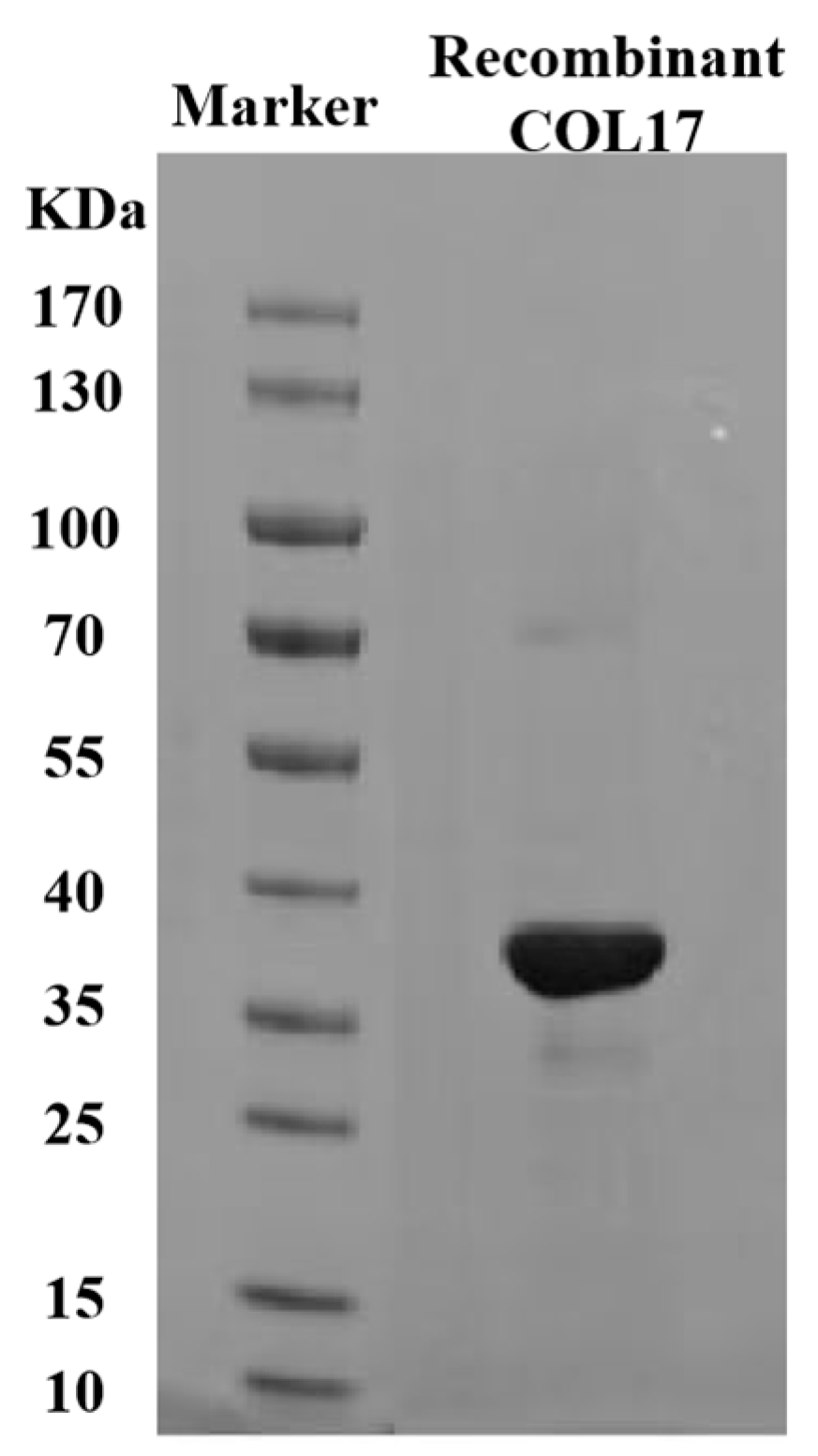 Cosmetics 12 00059 g001