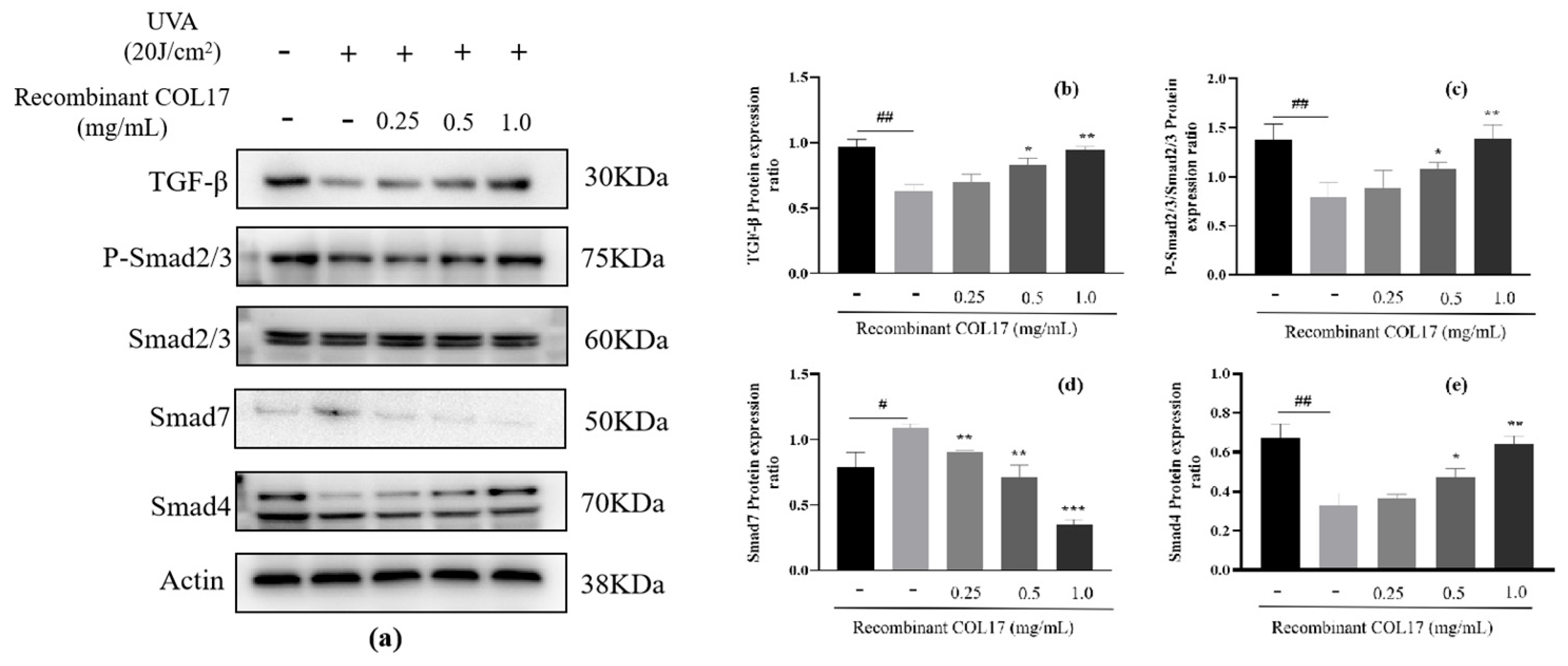 Cosmetics 12 00059 g003