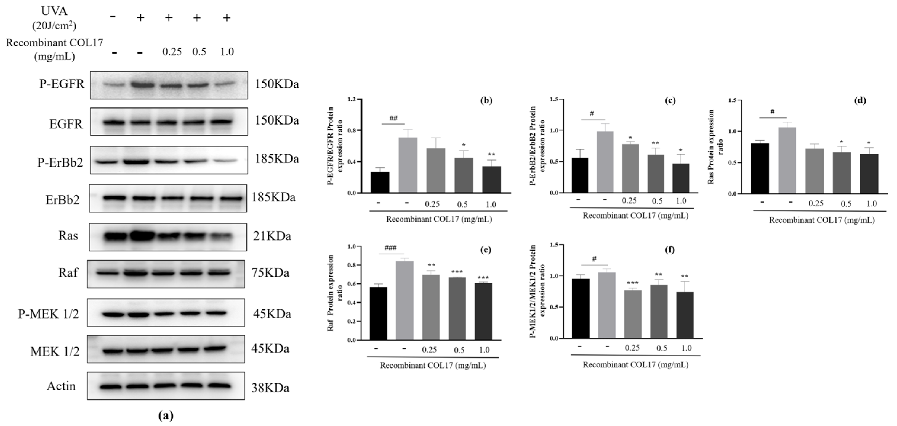Cosmetics 12 00059 g004