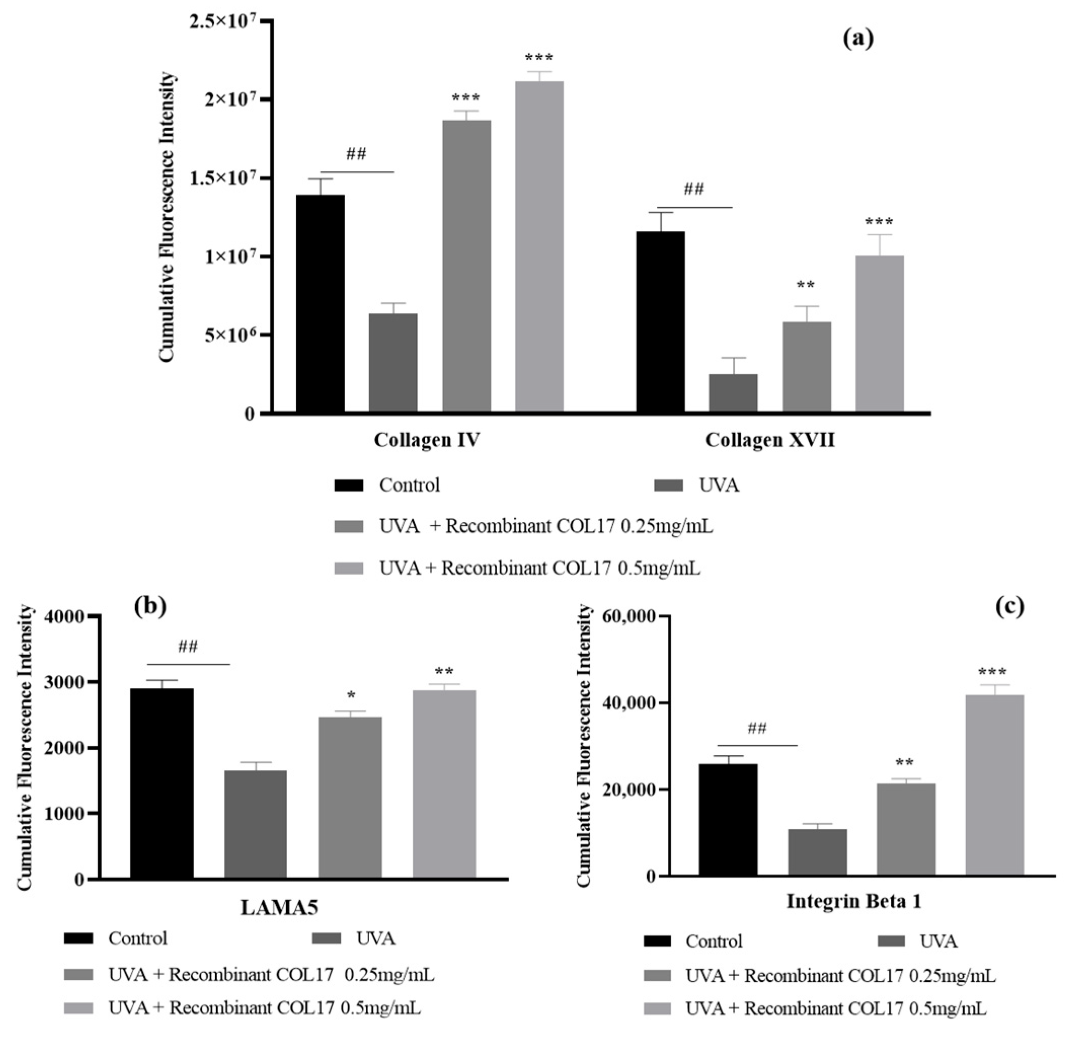 Cosmetics 12 00059 g008