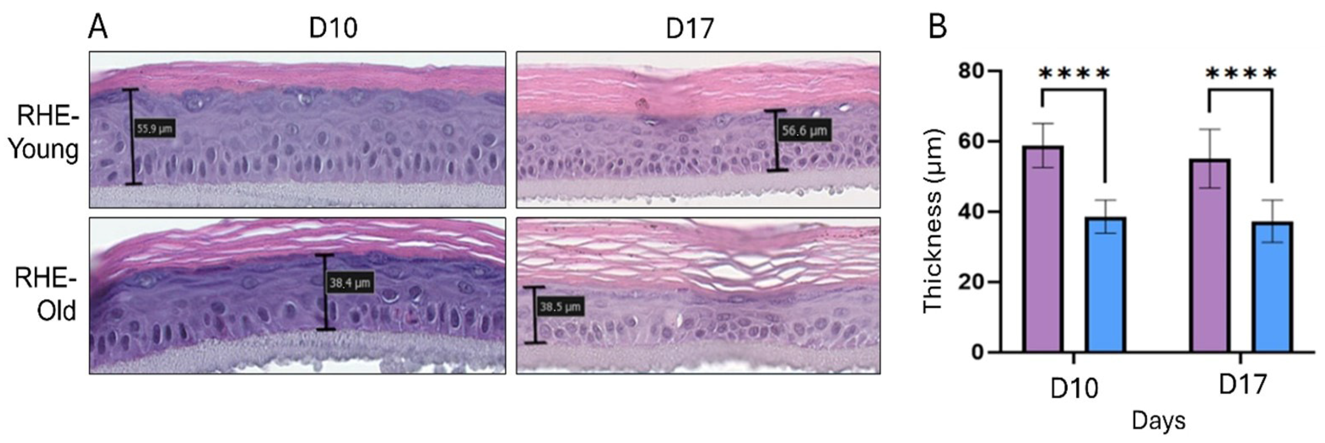 Cosmetics 12 00071 g004