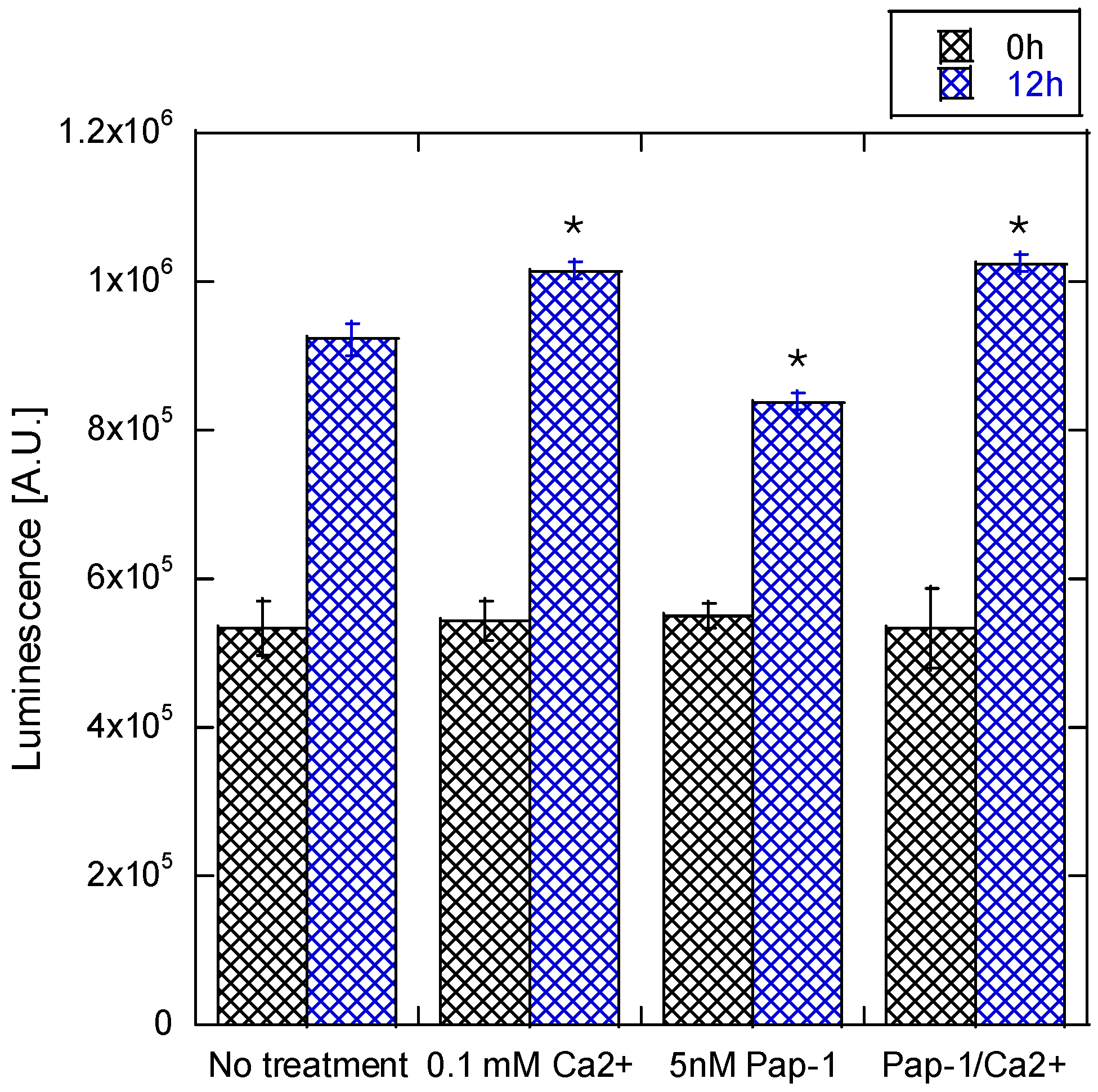 Cosmetics 12 00086 g006