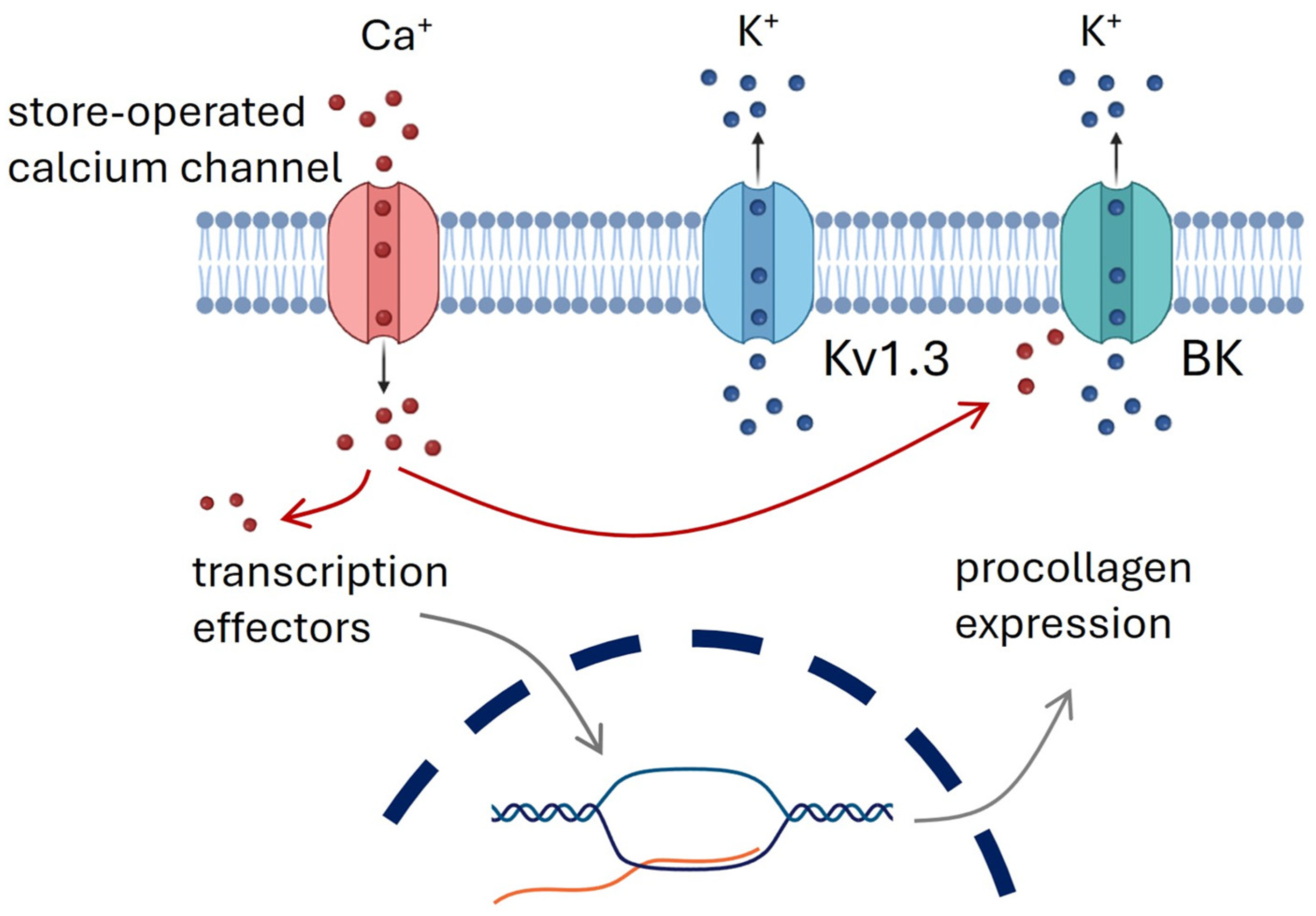 Cosmetics 12 00086 sch001