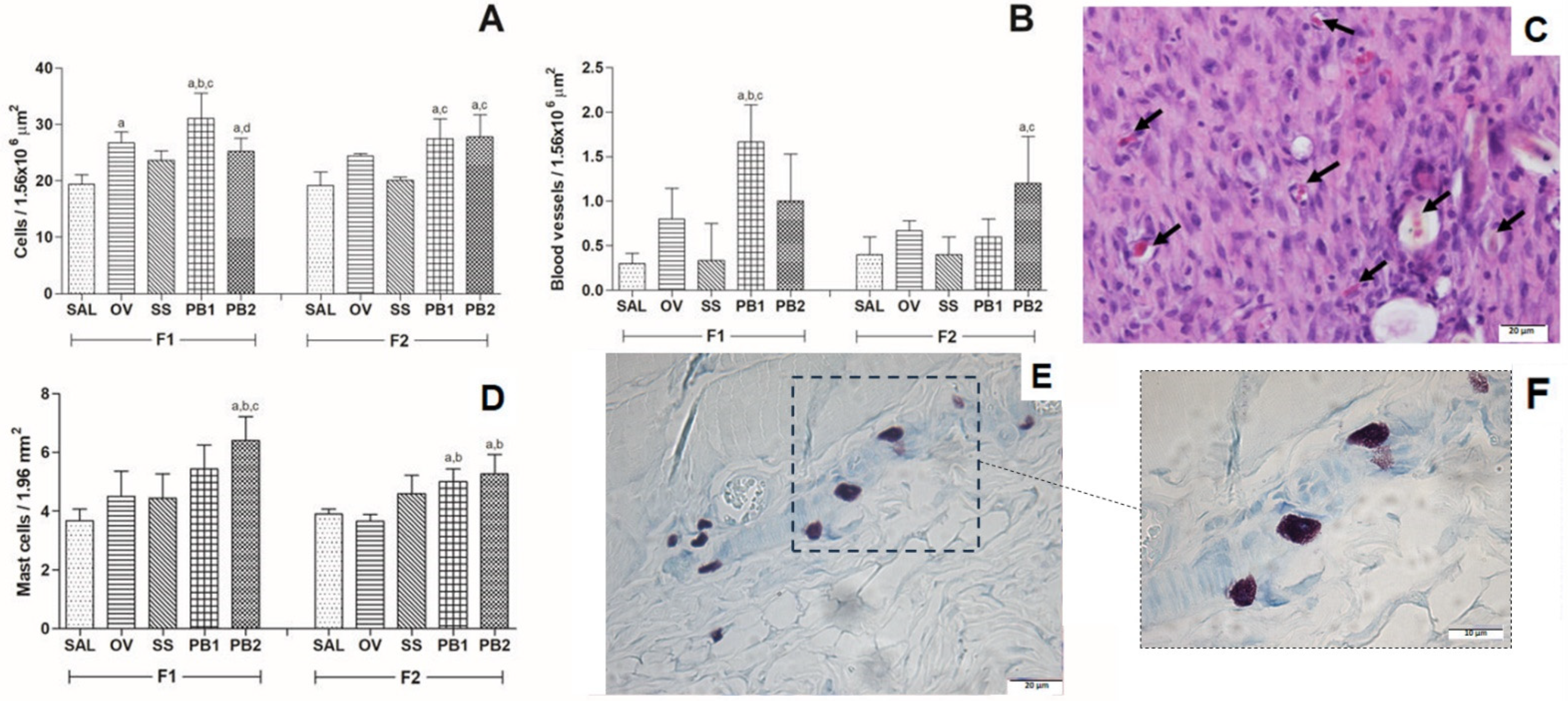 Cosmetics 12 00110 g001