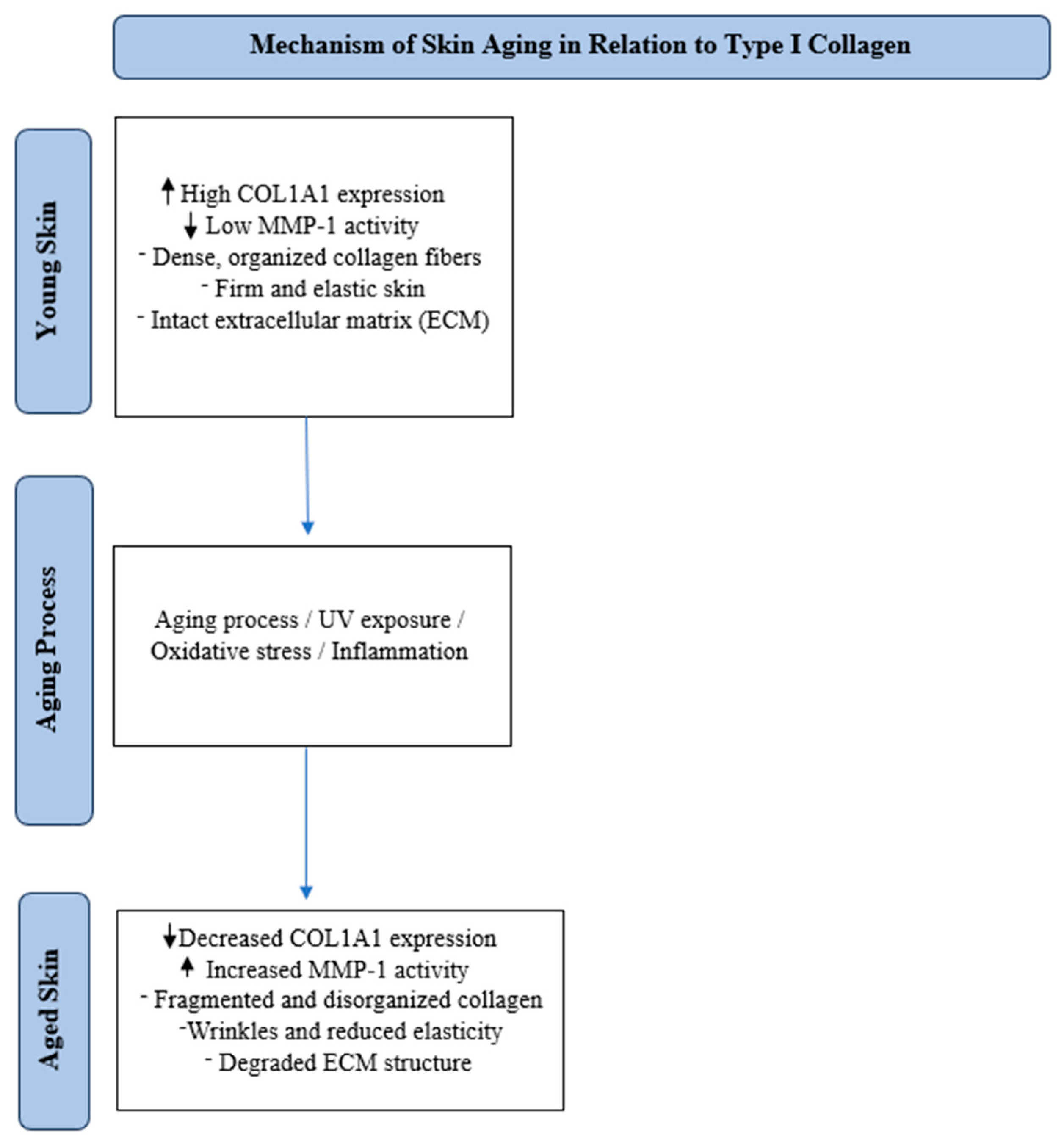 Cosmetics 12 00129 g001 Cosmetics 12 00129 g001