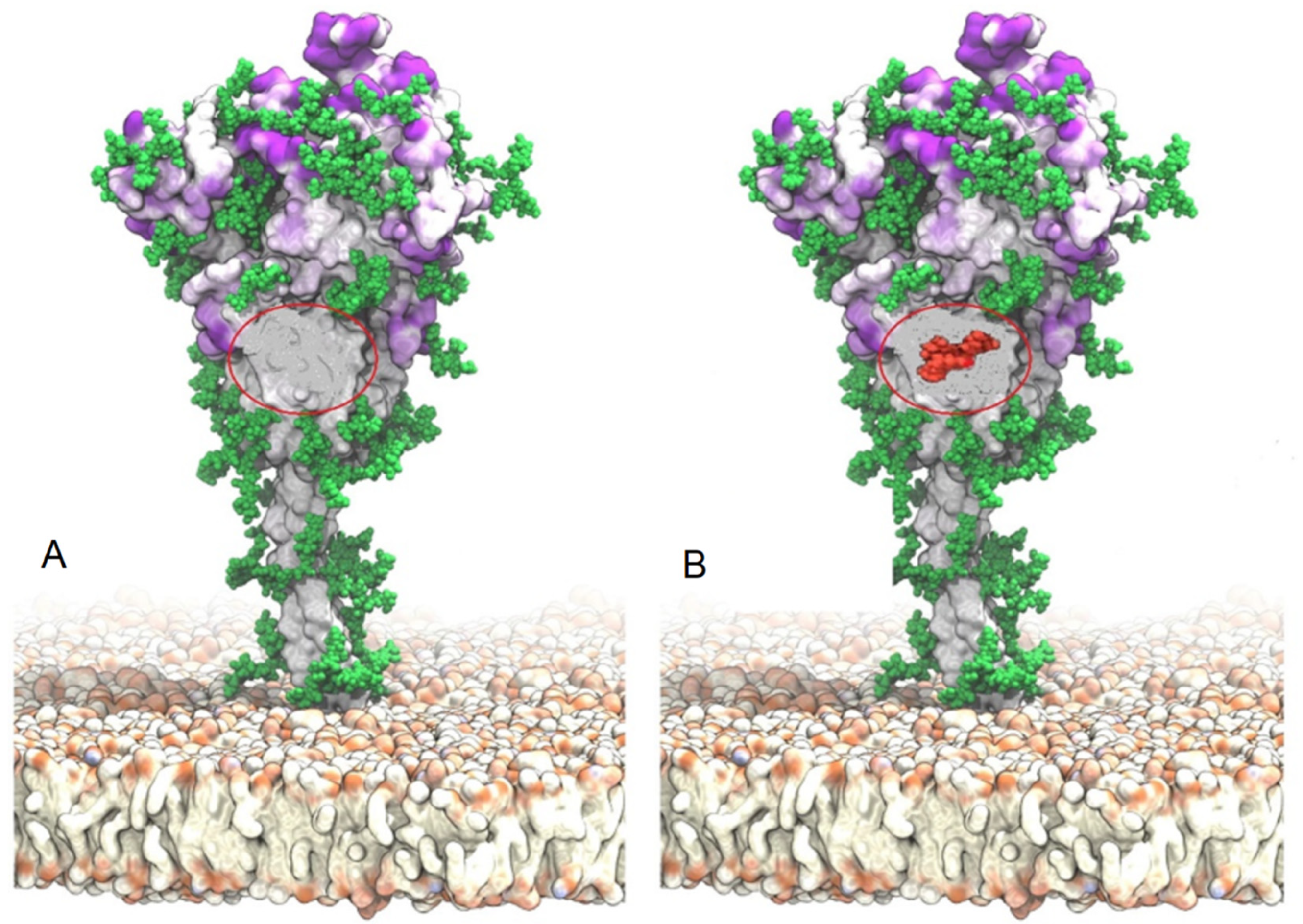 What does 'survival of the fittest' mean in the coronavirus pandemic? Look  to the immune system