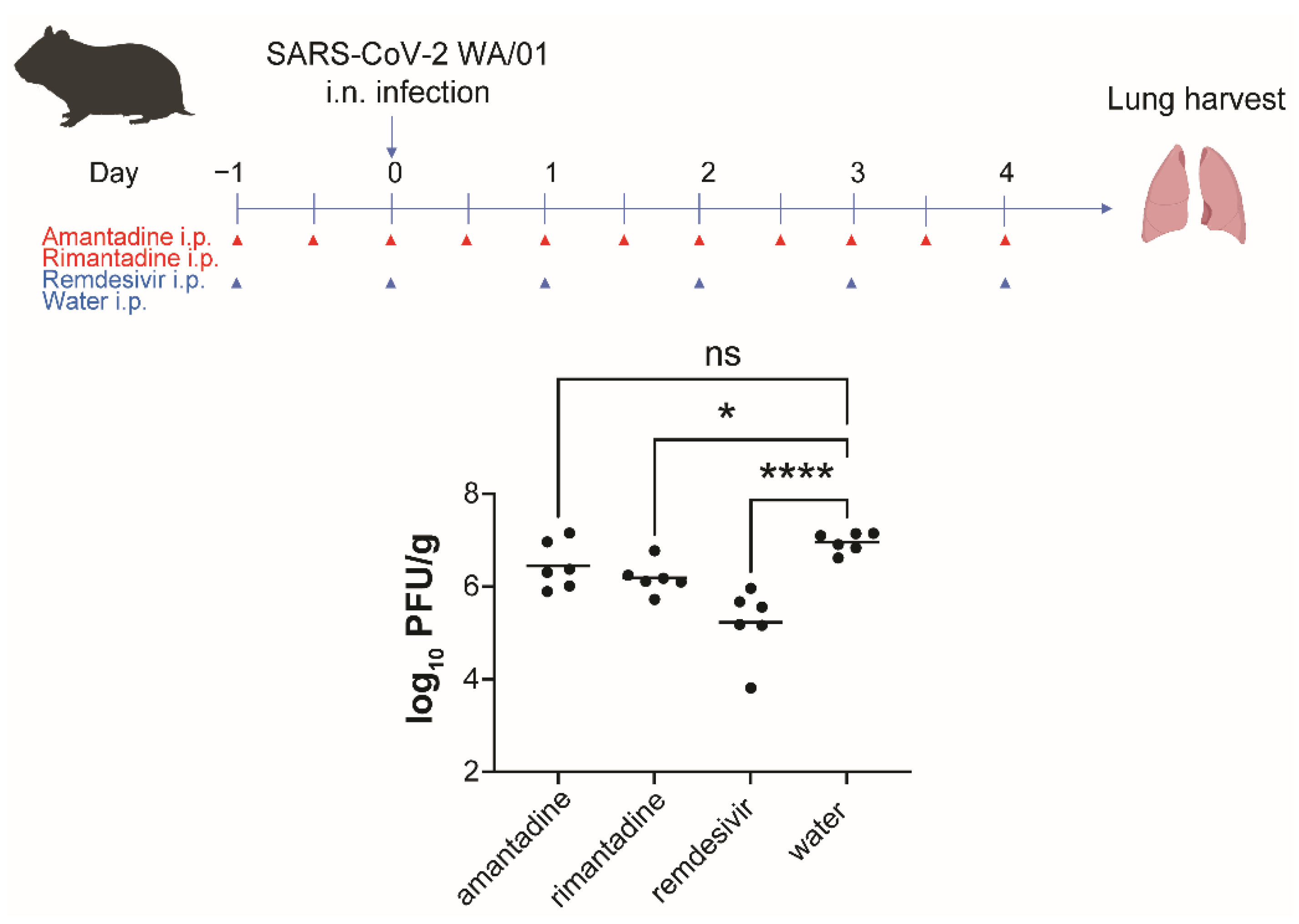 Covid 02 00111 g005 Covid 02 00111 g005
