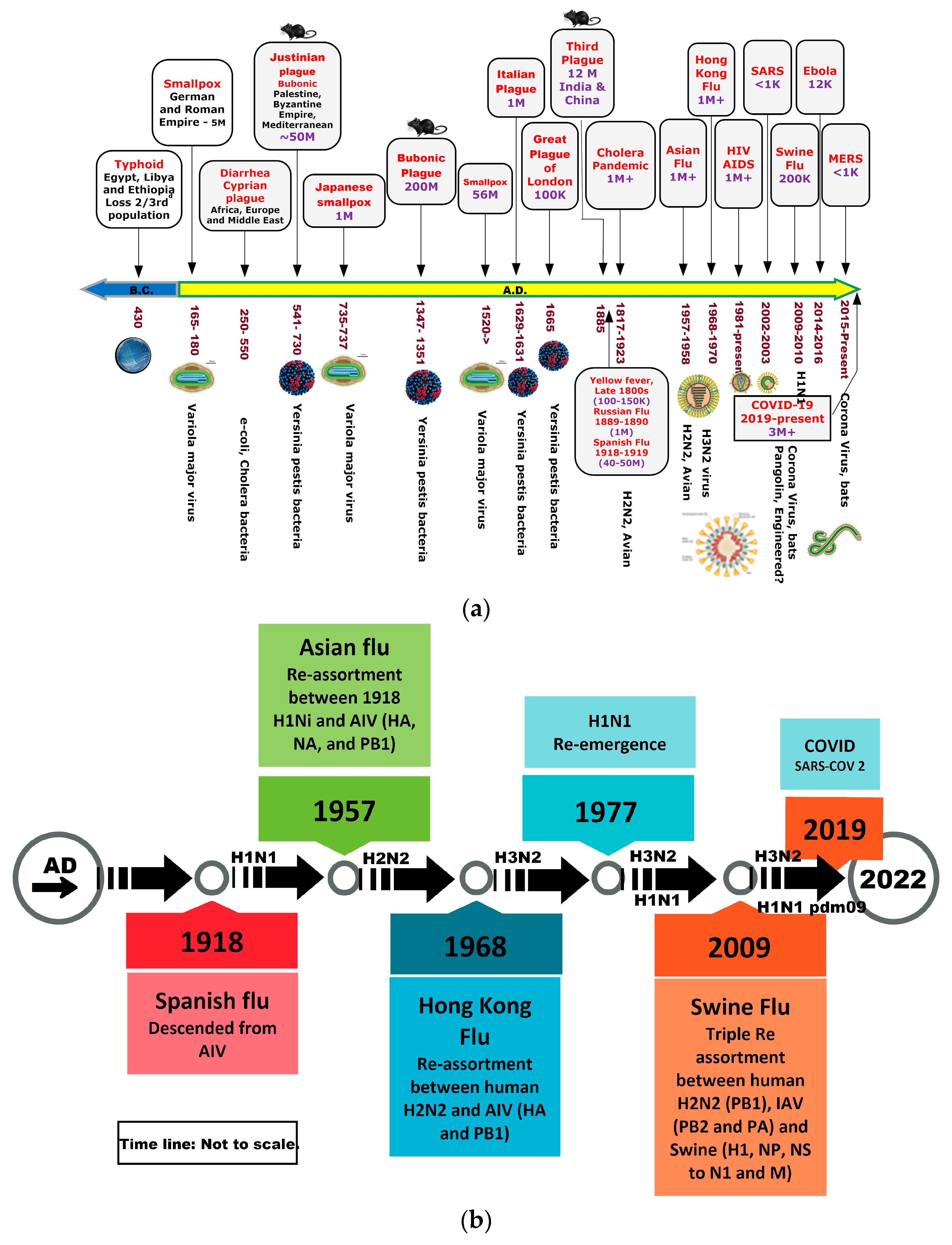 Covid 03 00089 g002 Covid 03 00089 g002