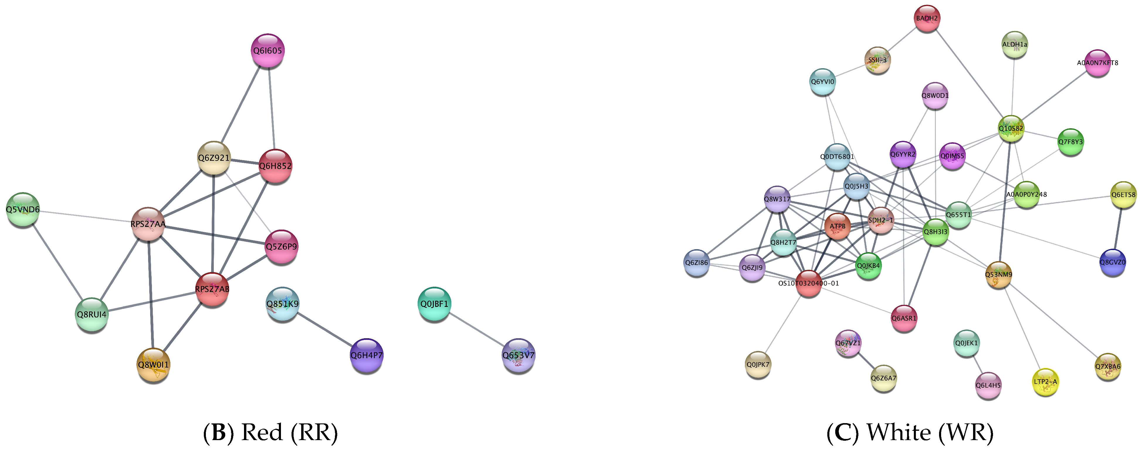 Crops 03 00007 g005b