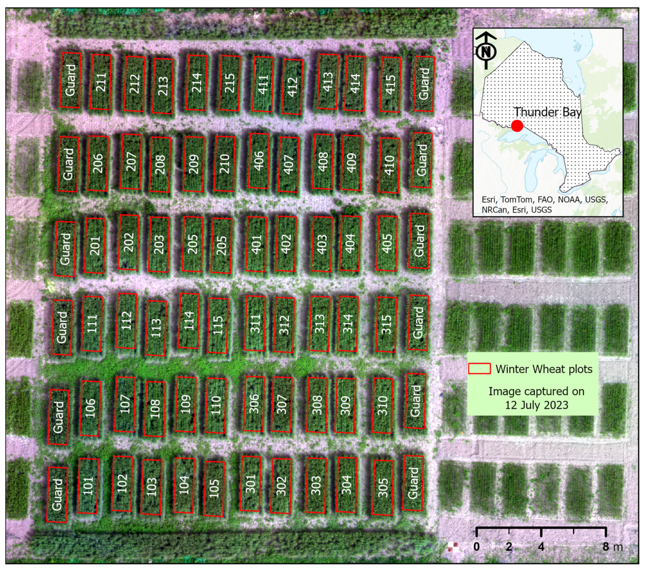 Crops 04 00009 g001 Crops 04 00009 g001