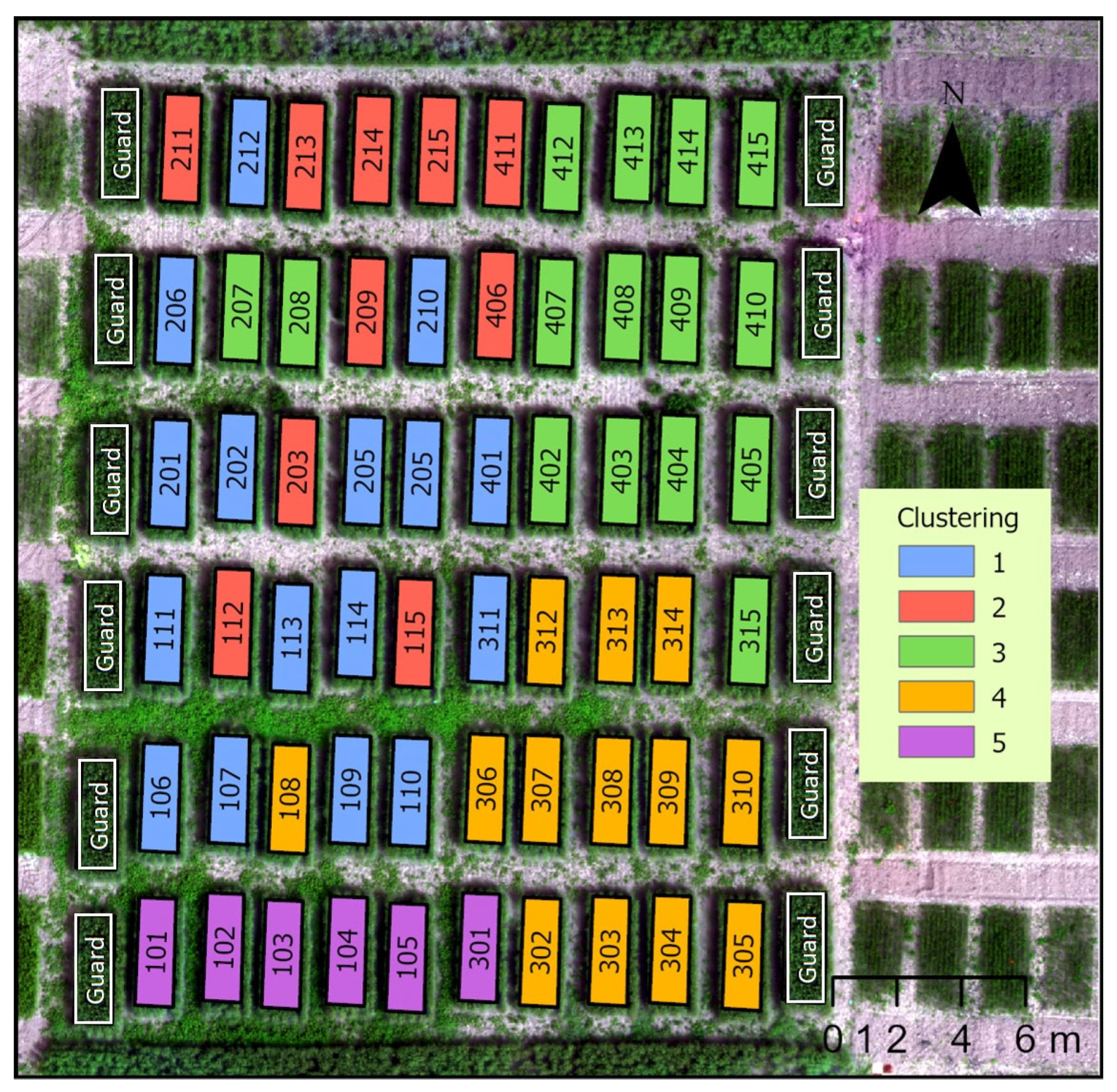 Crops 04 00009 g006 Crops 04 00009 g006