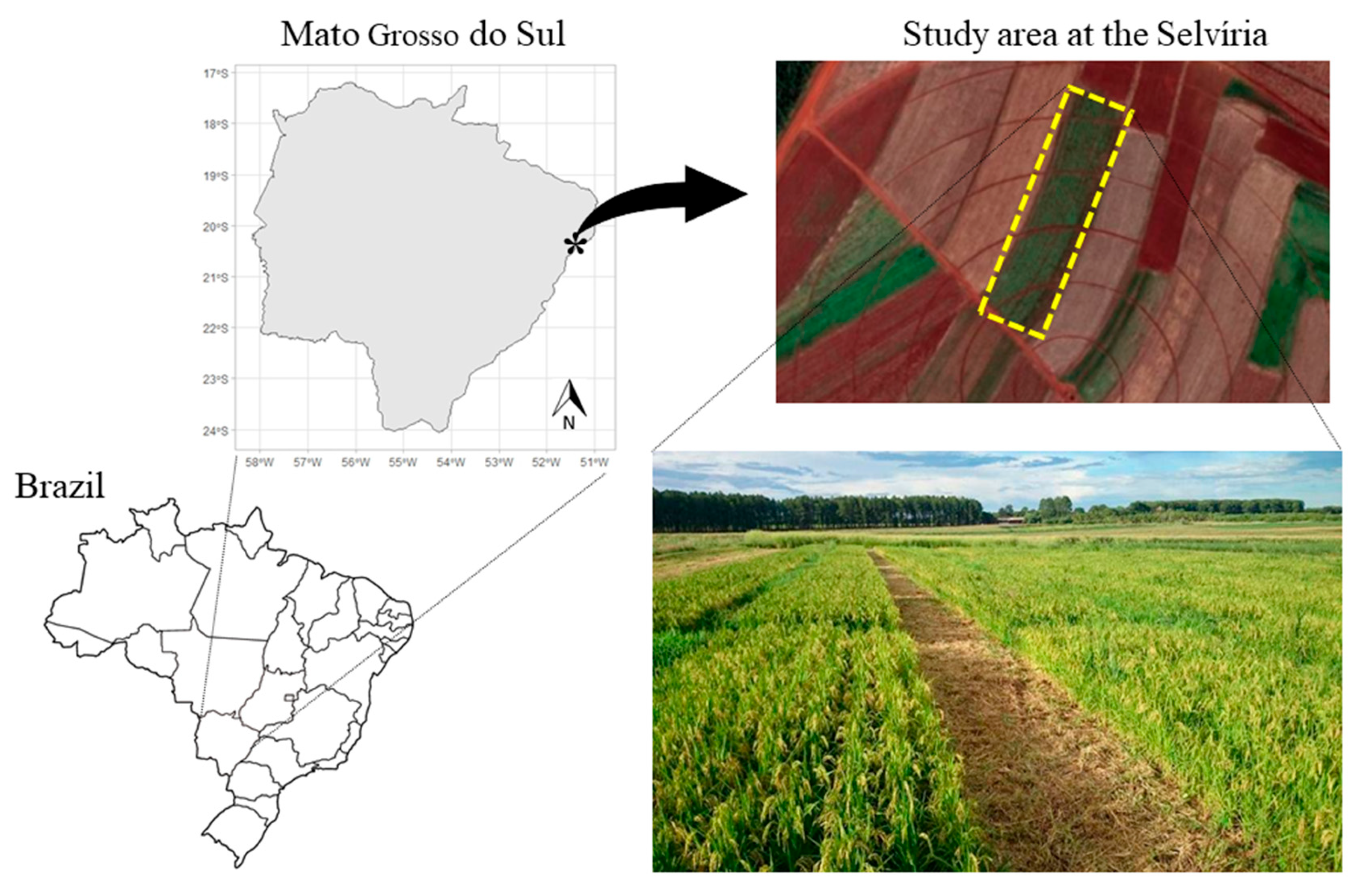 Crops 04 00016 g001