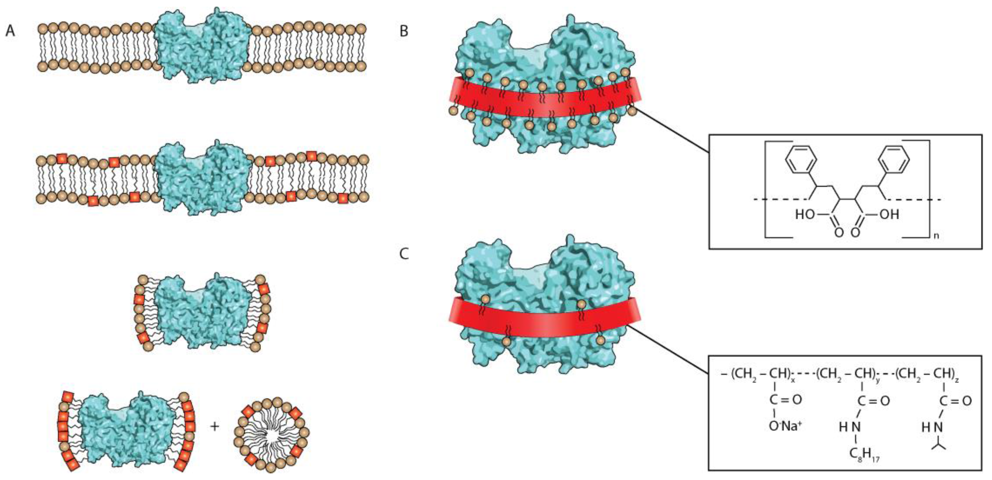 Crystals | Free Full-Text | An Overview of the Top Ten Detergents Used for Membrane  Protein Crystallization