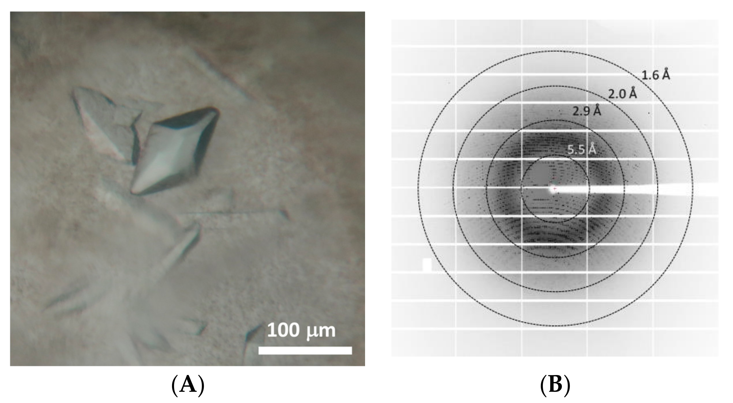 Crystals 08 00012 g003