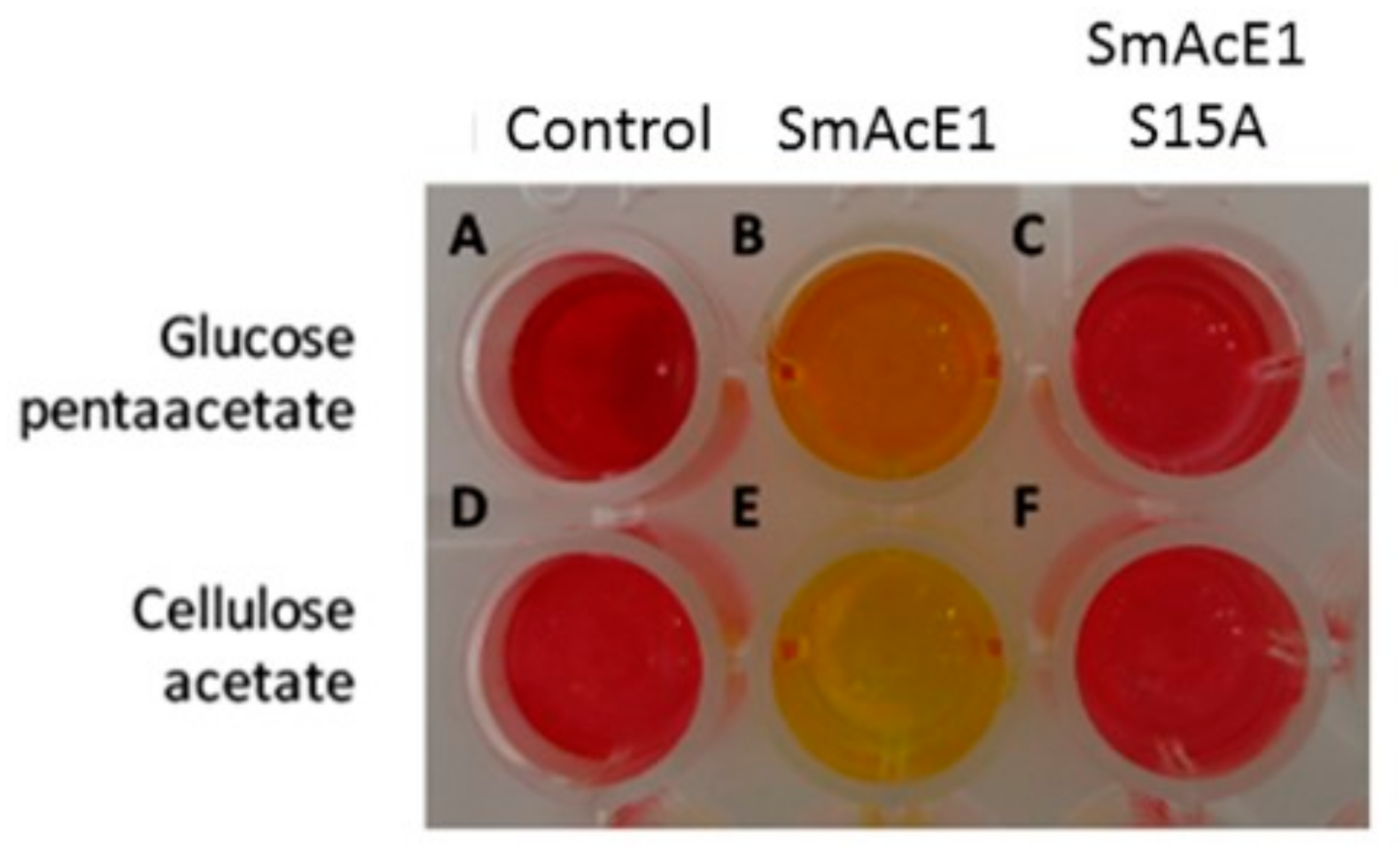 Crystals 08 00012 g005