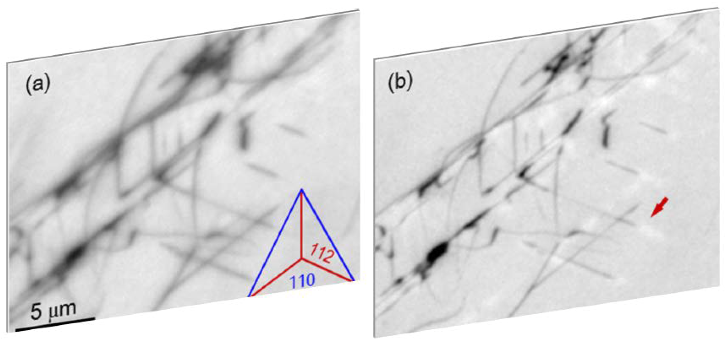 Crystals 08 00241 g063