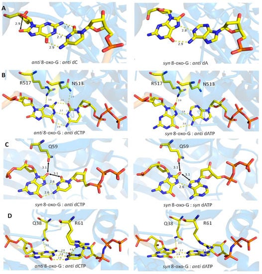 Crystals | Free Full-Text | Reading and Misreading 8-oxoguanine, a 