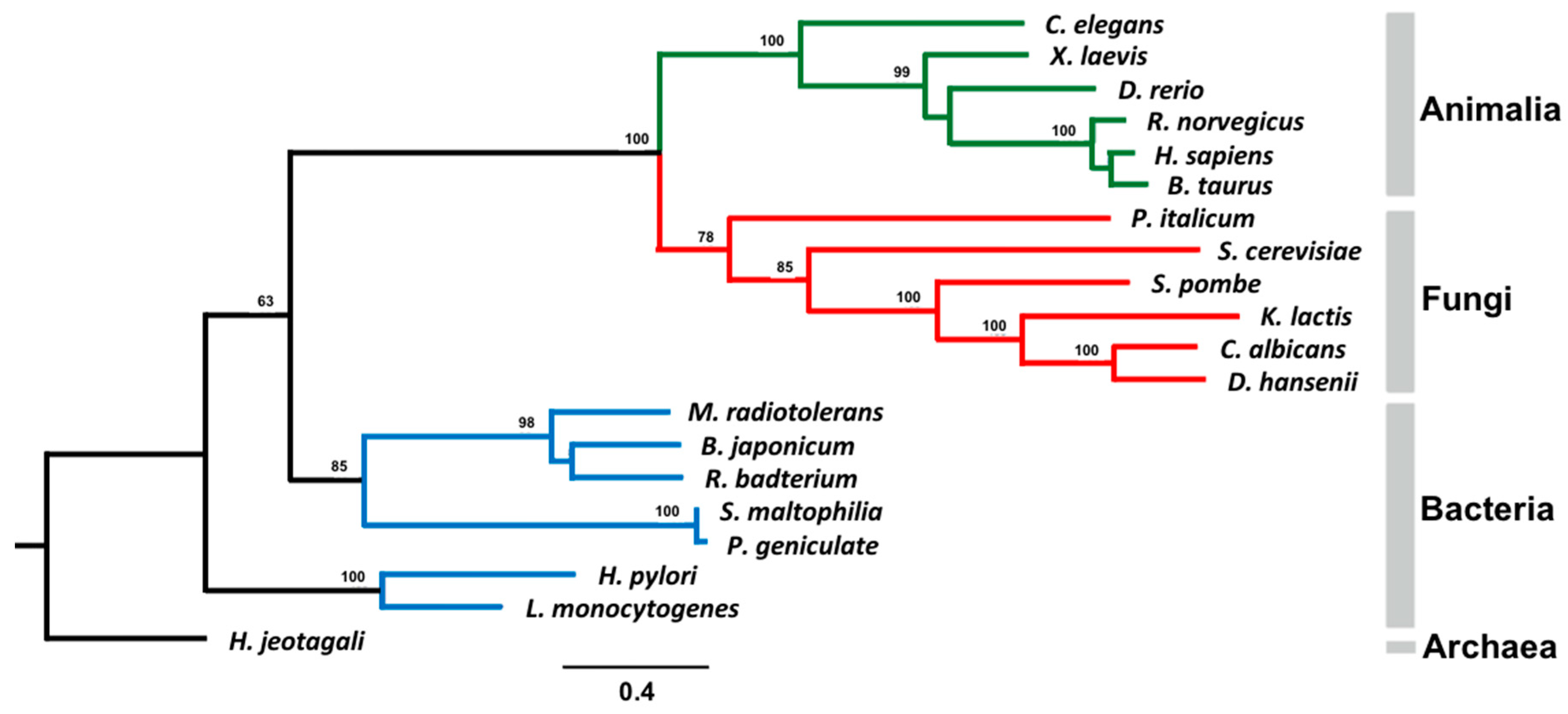 Crystals 09 00472 g005