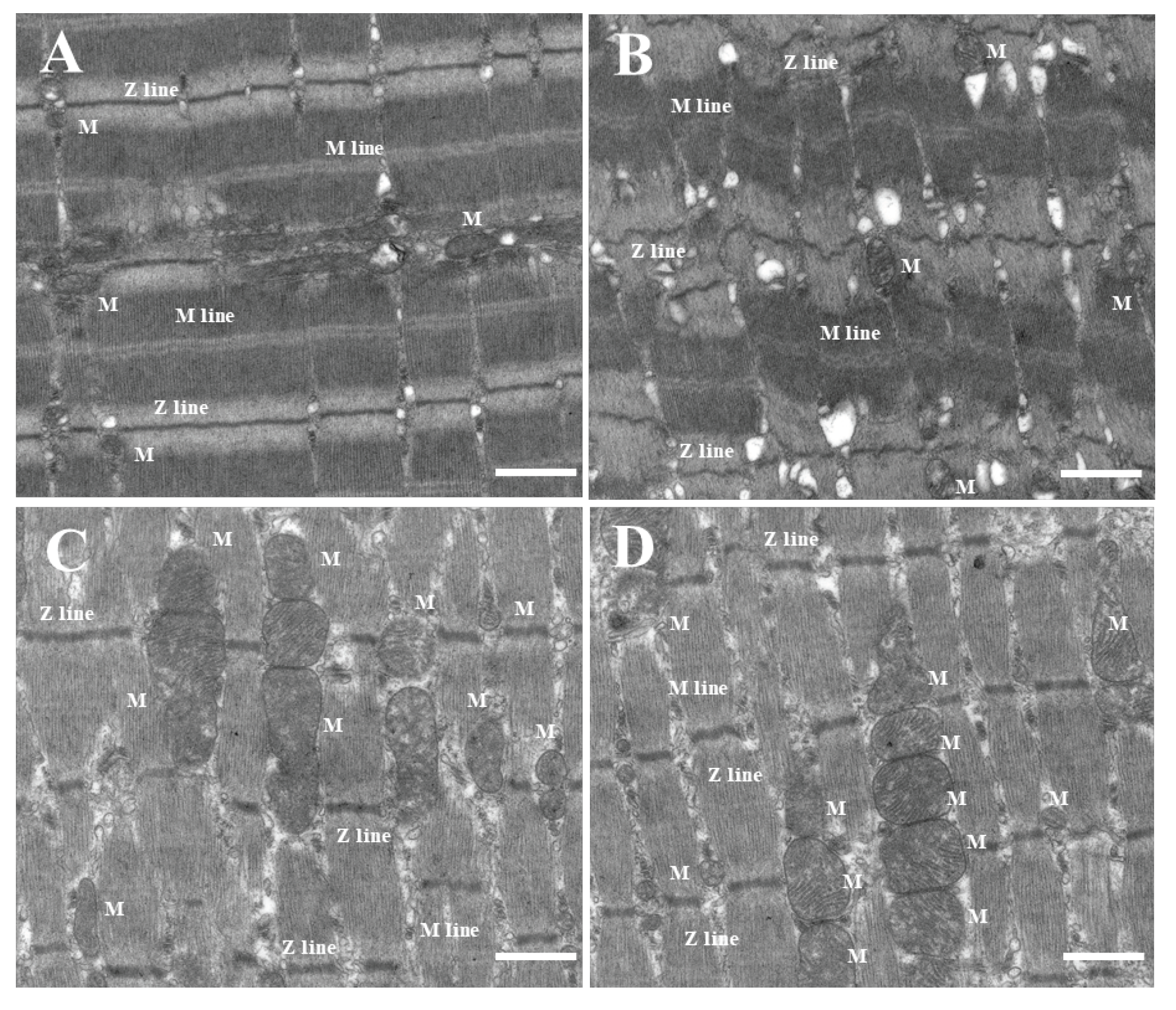 Crystals 09 00559 g005 Crystals 09 00559 g005