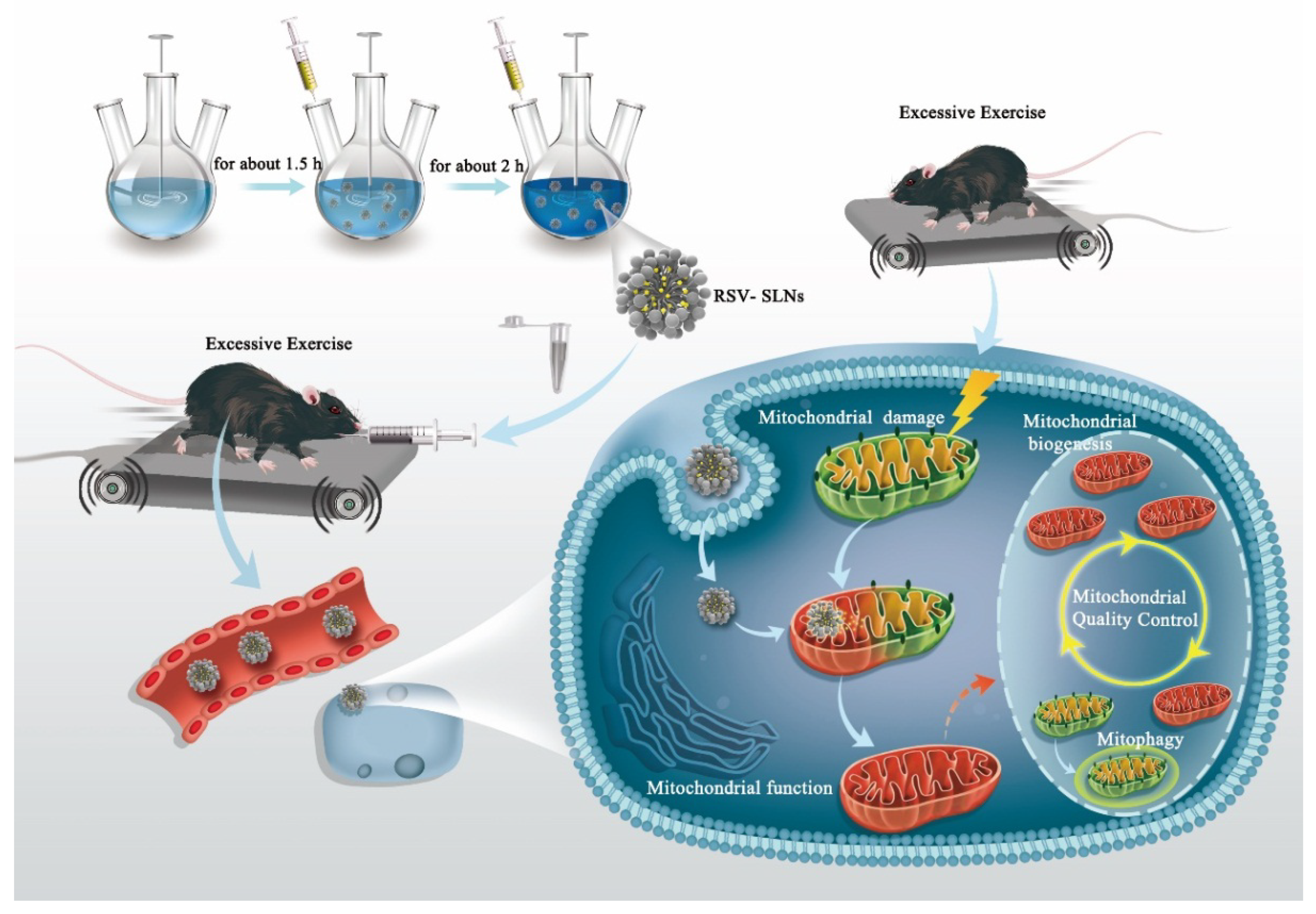 Crystals 09 00559 g008 Crystals 09 00559 g008
