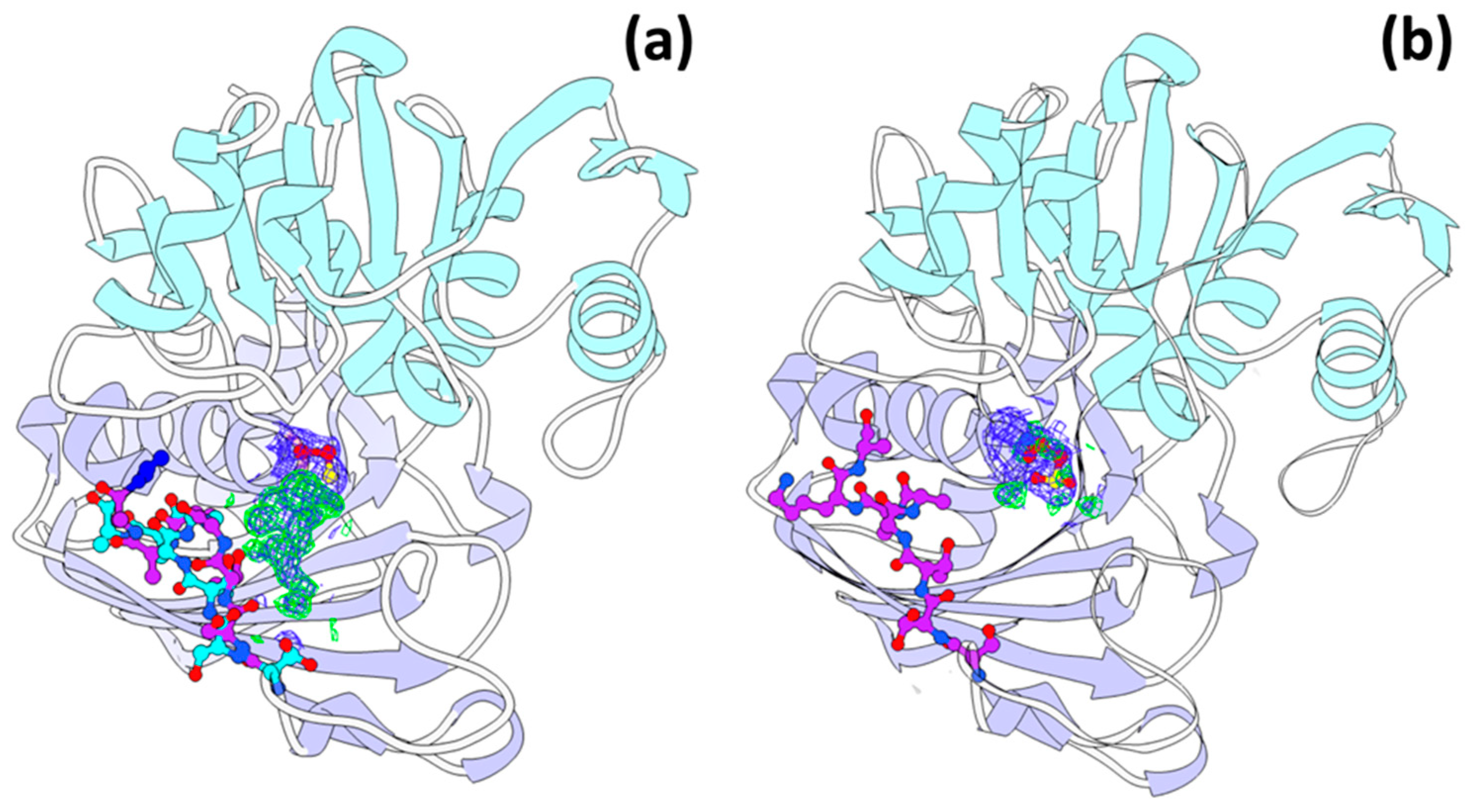 Crystals 09 00622 g004