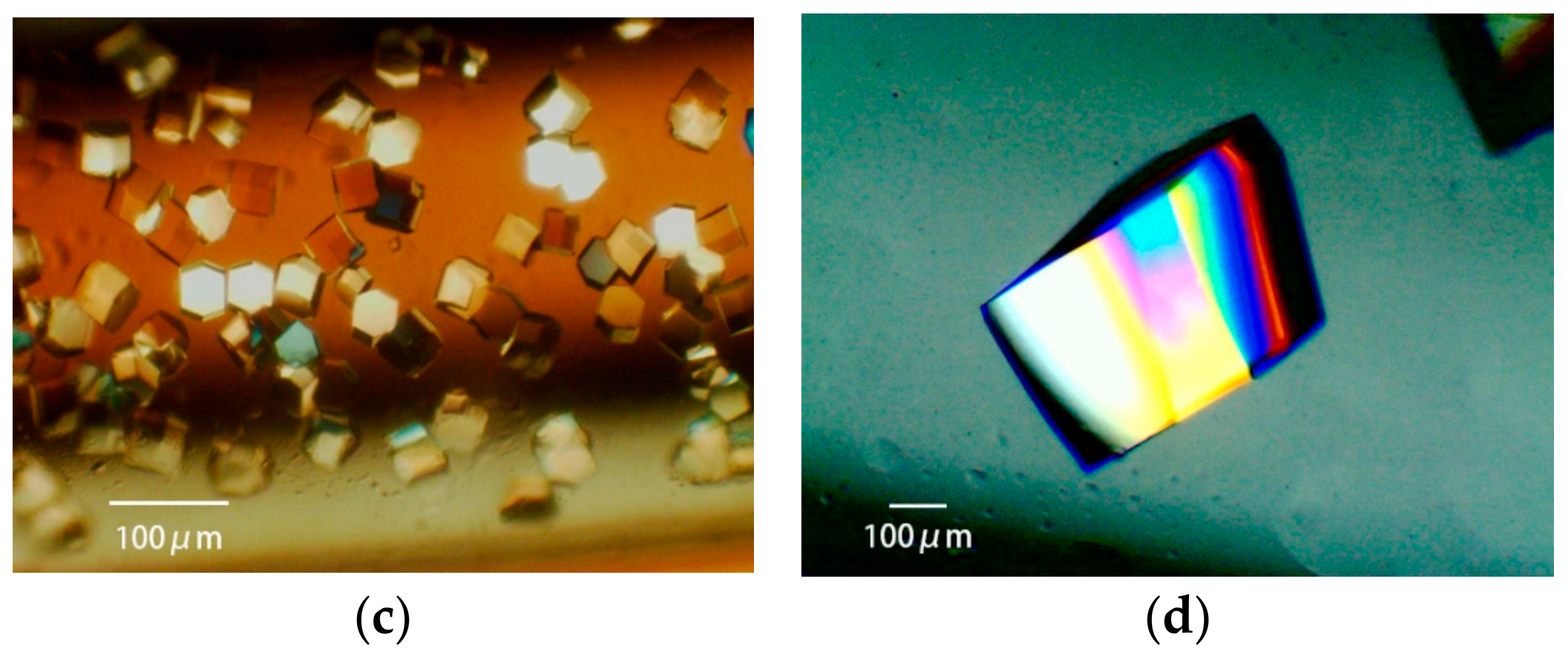 Crystals 10 00078 g008b