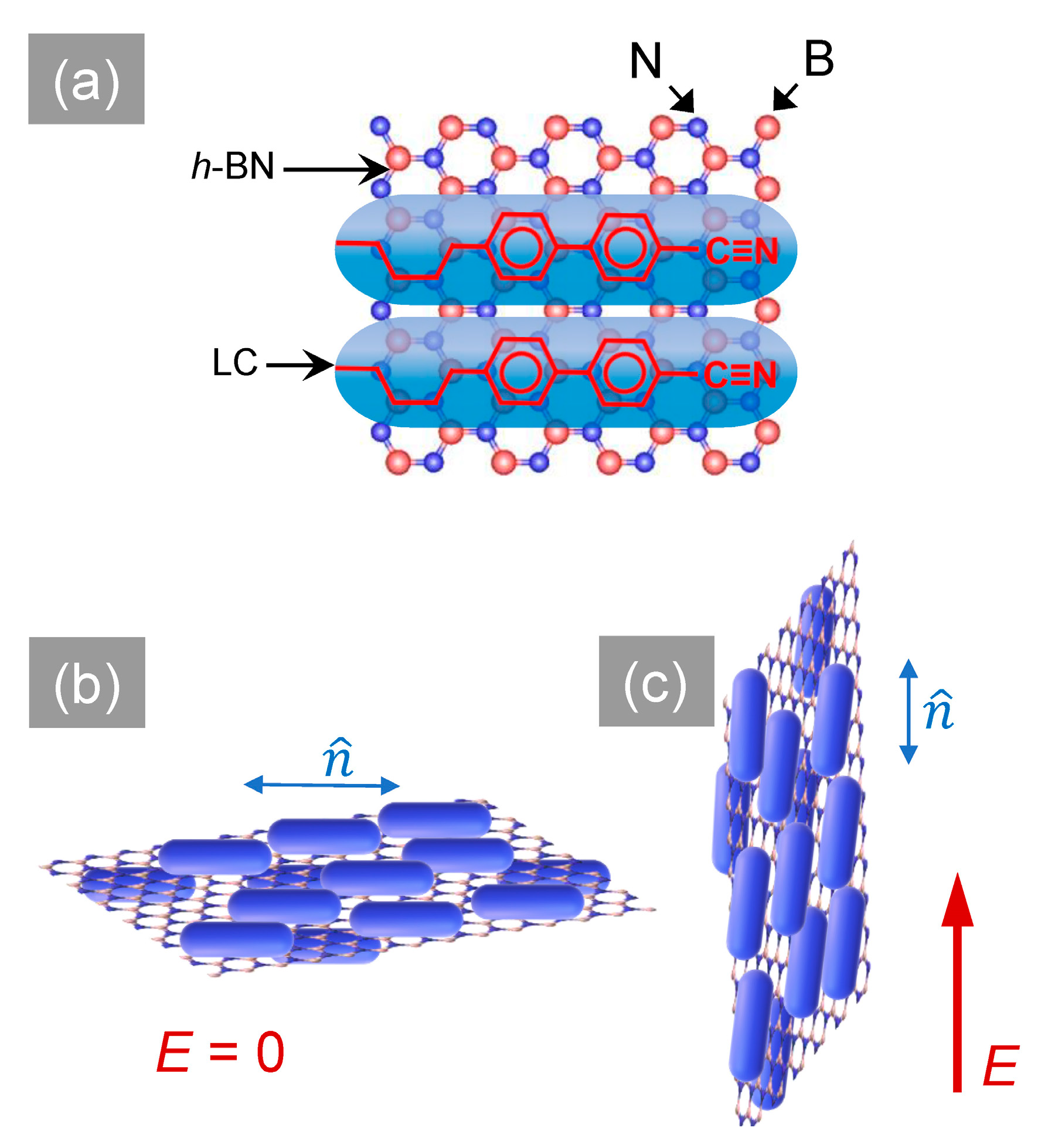 Crystals Free Full Text Dielectric And Electro Optic Effects In A Nematic Liquid Crystal Doped With H Bn Flakes Html