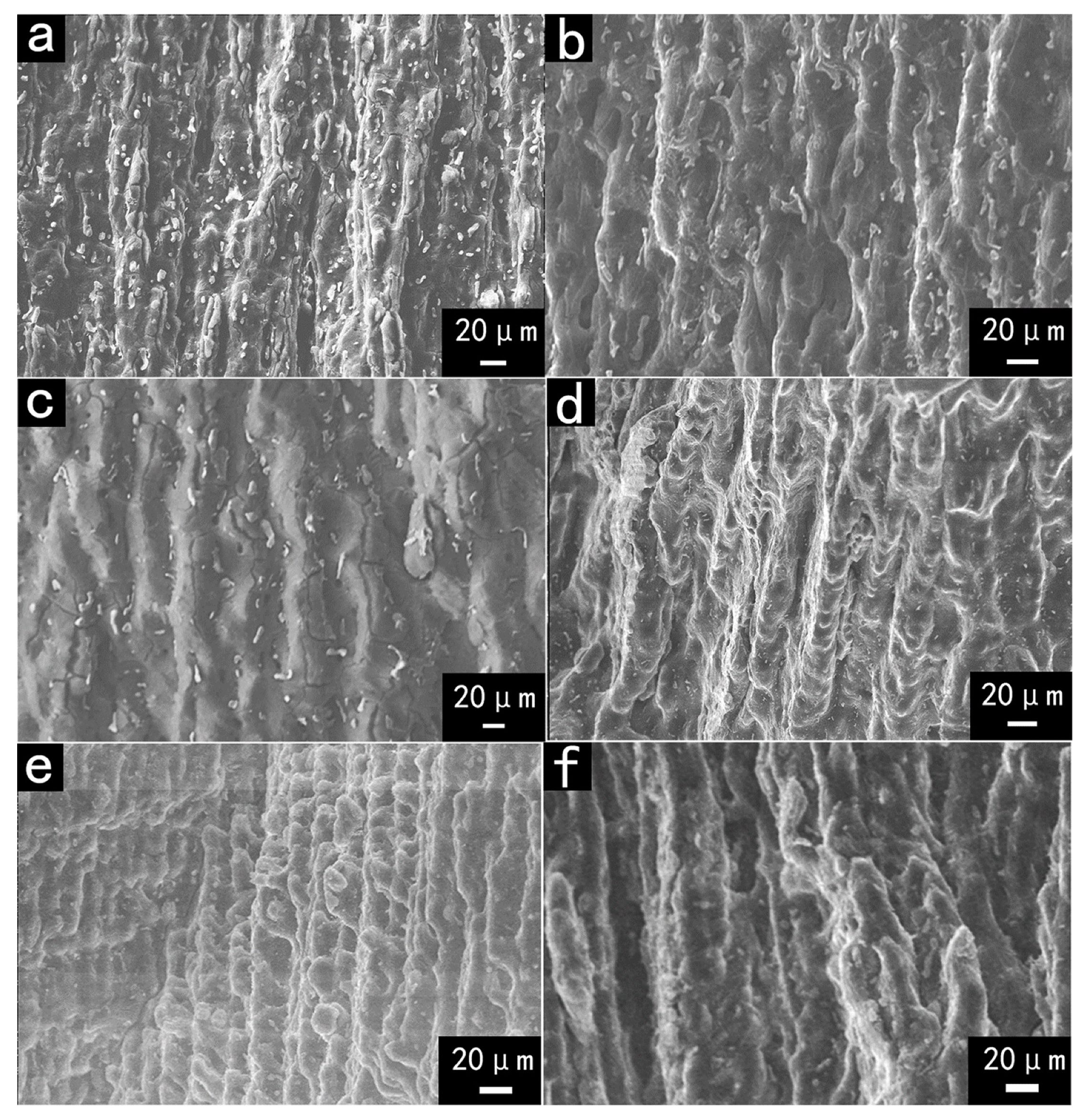 Crystals 10 00167 g004