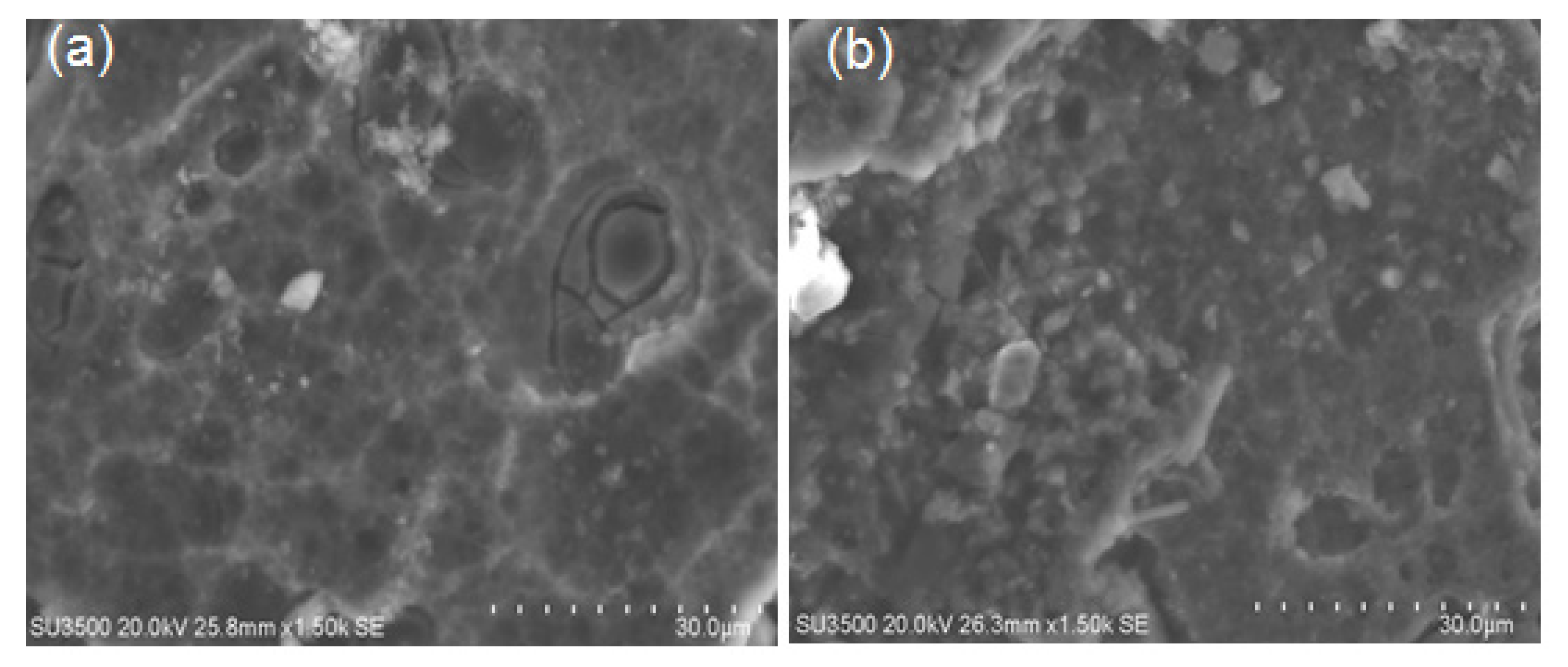 Crystals 10 00190 g008