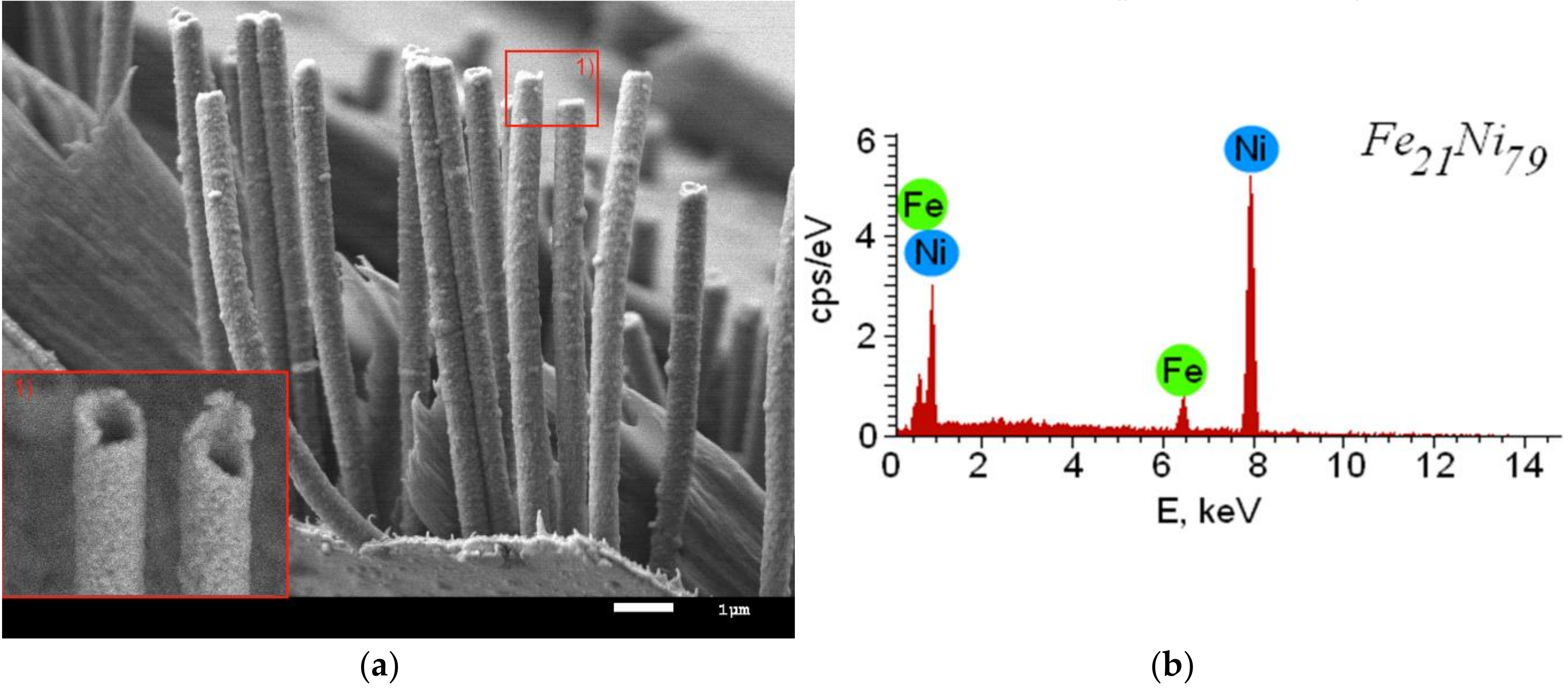 Crystals 10 00254 g001a