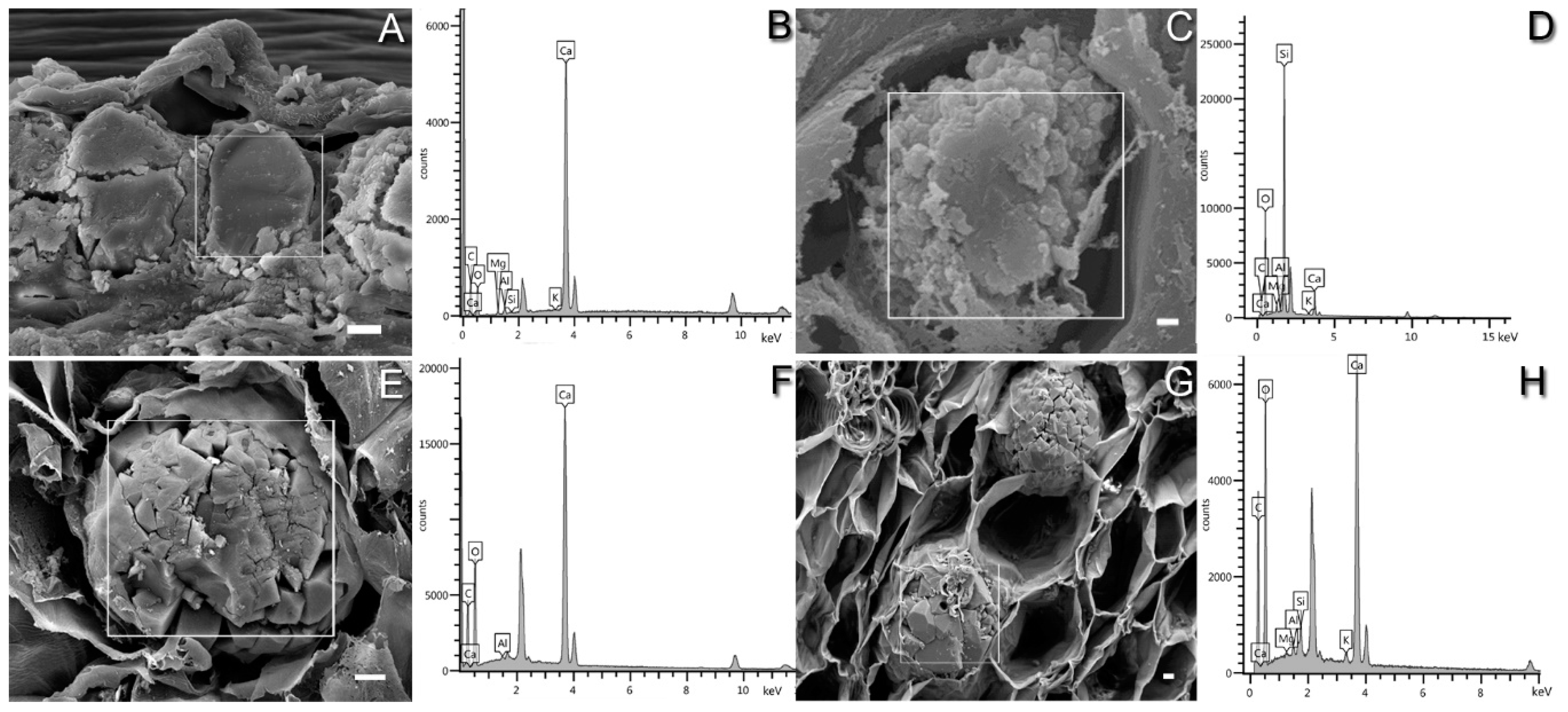 Crystals 10 00432 g005 Crystals 10 00432 g005