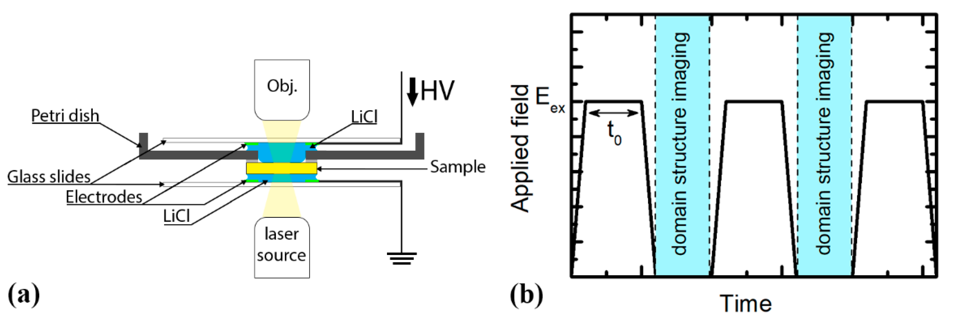 Crystals 10 00583 g001